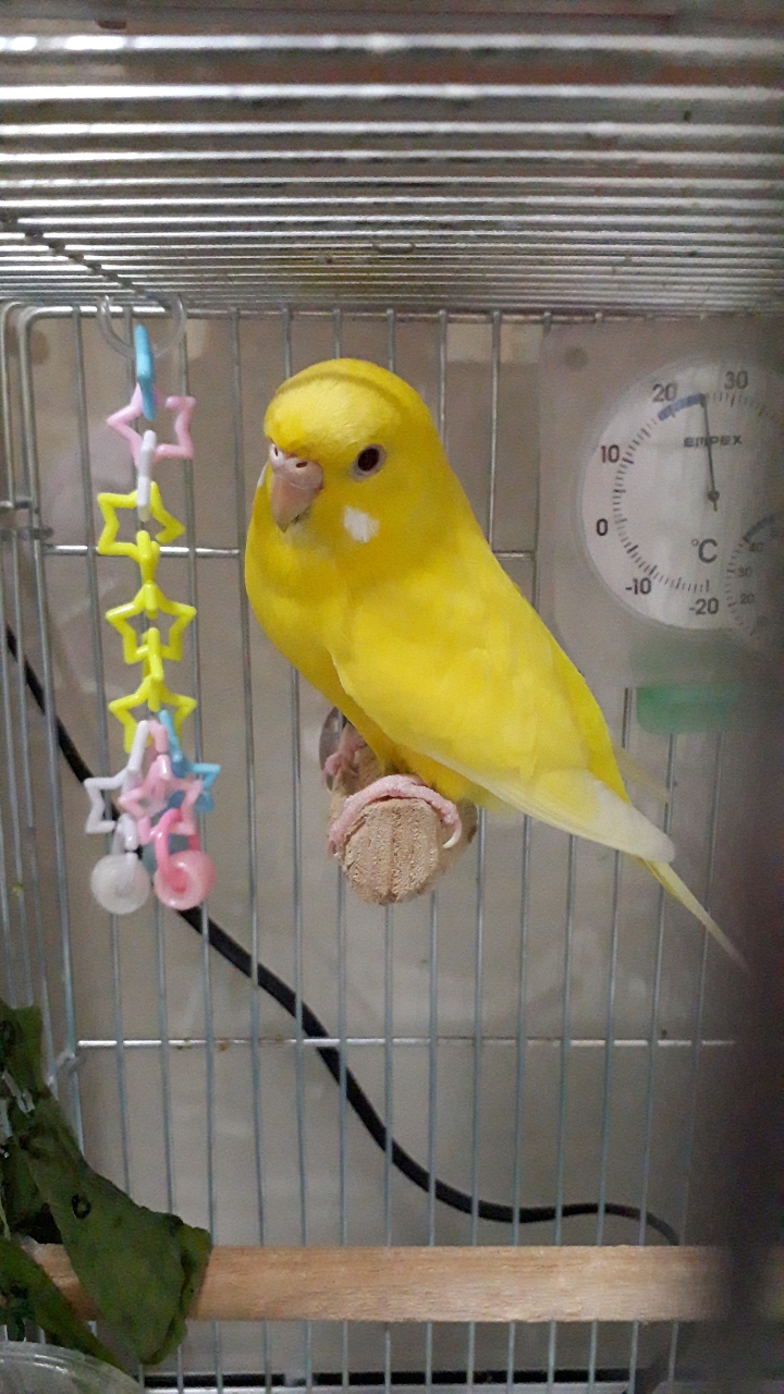 ユーザーの写真