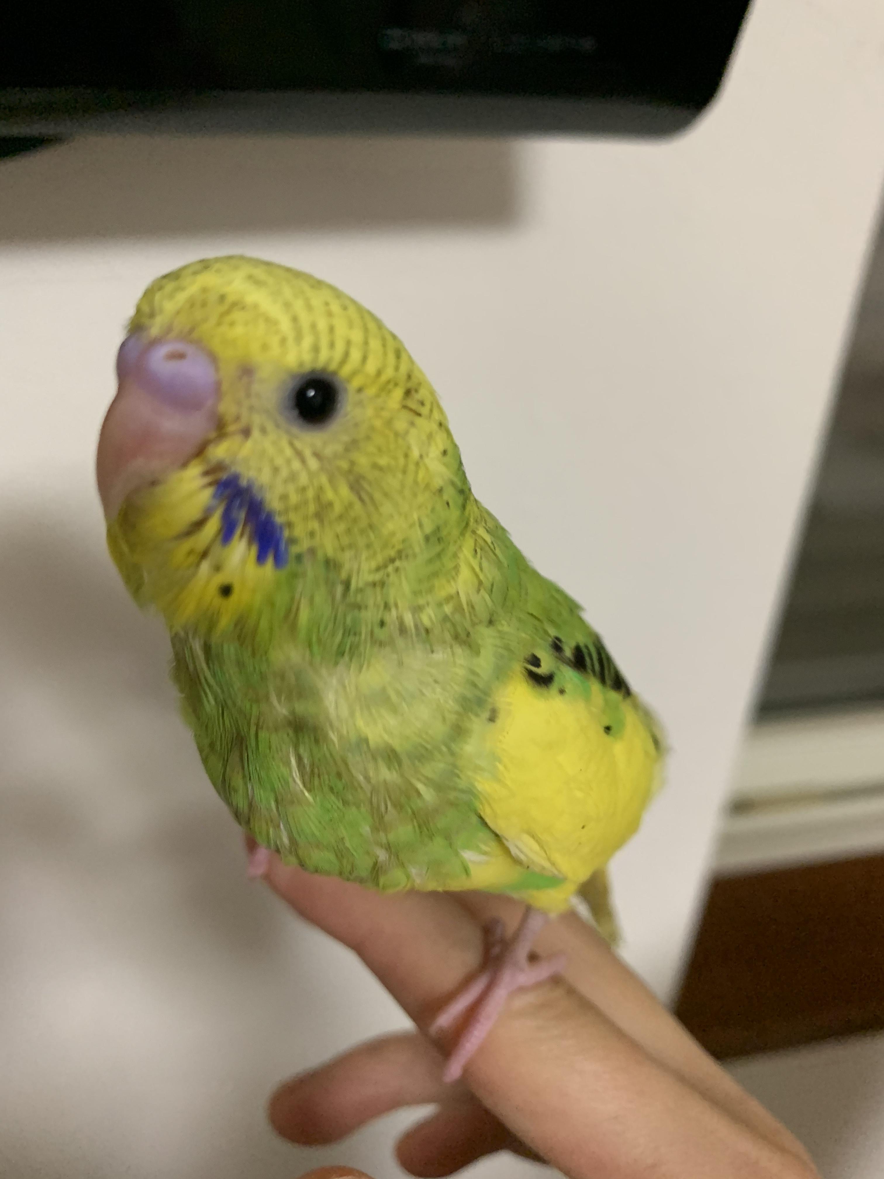 ユーザーの写真