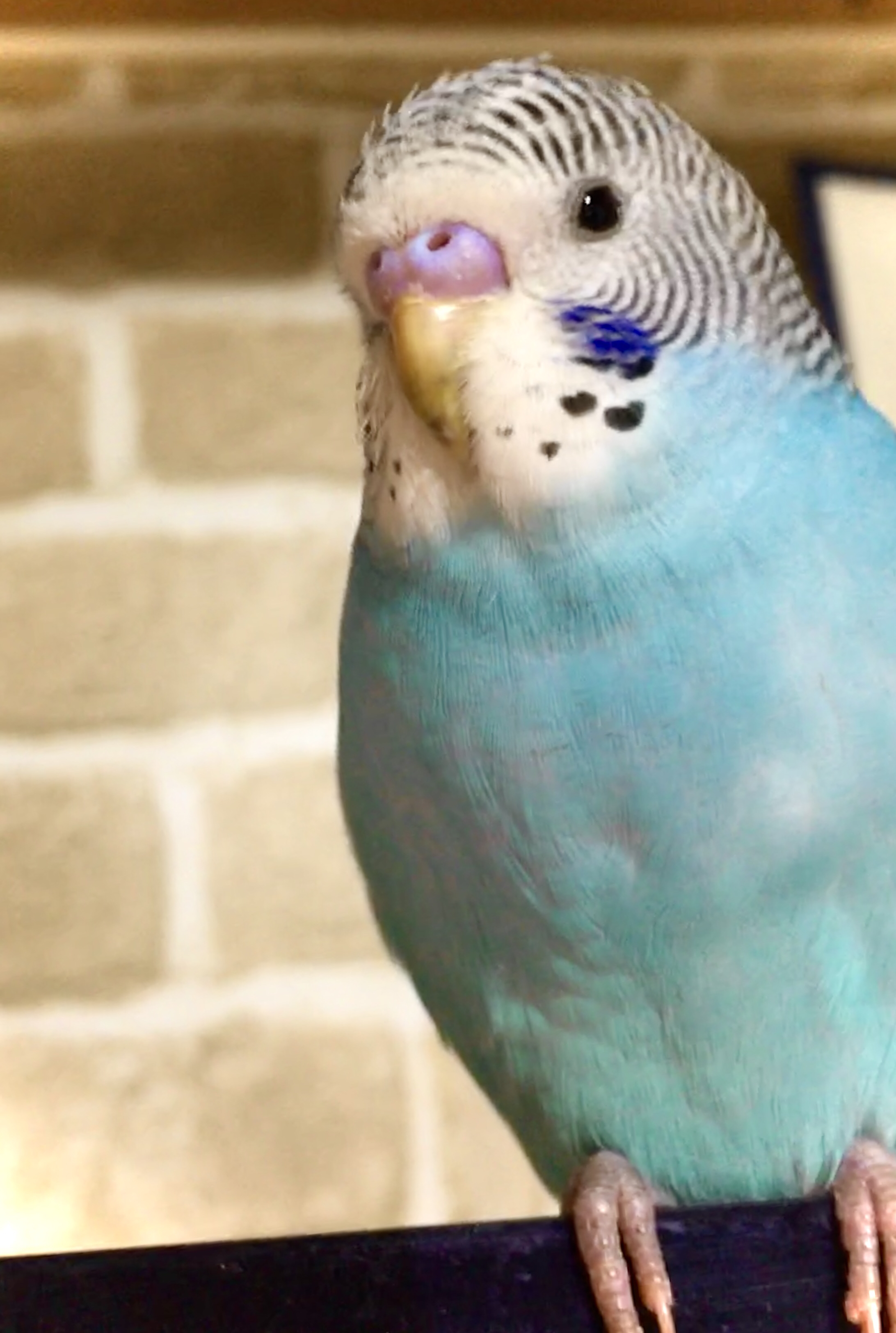 ユーザーの写真