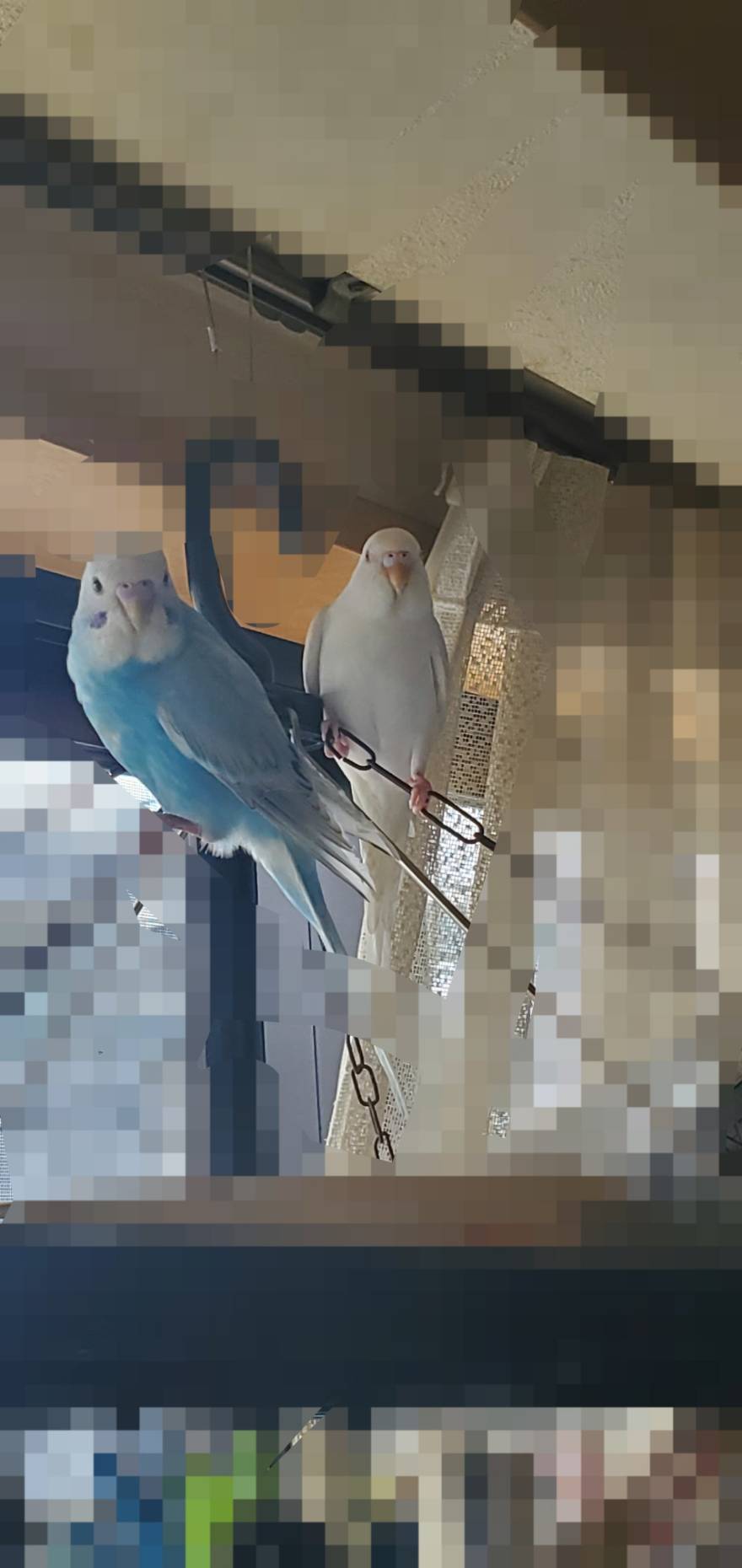 ユーザーの写真