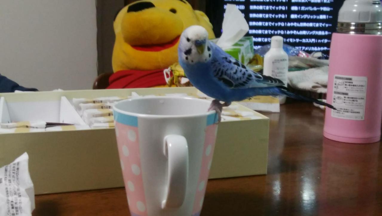 ユーザーの写真