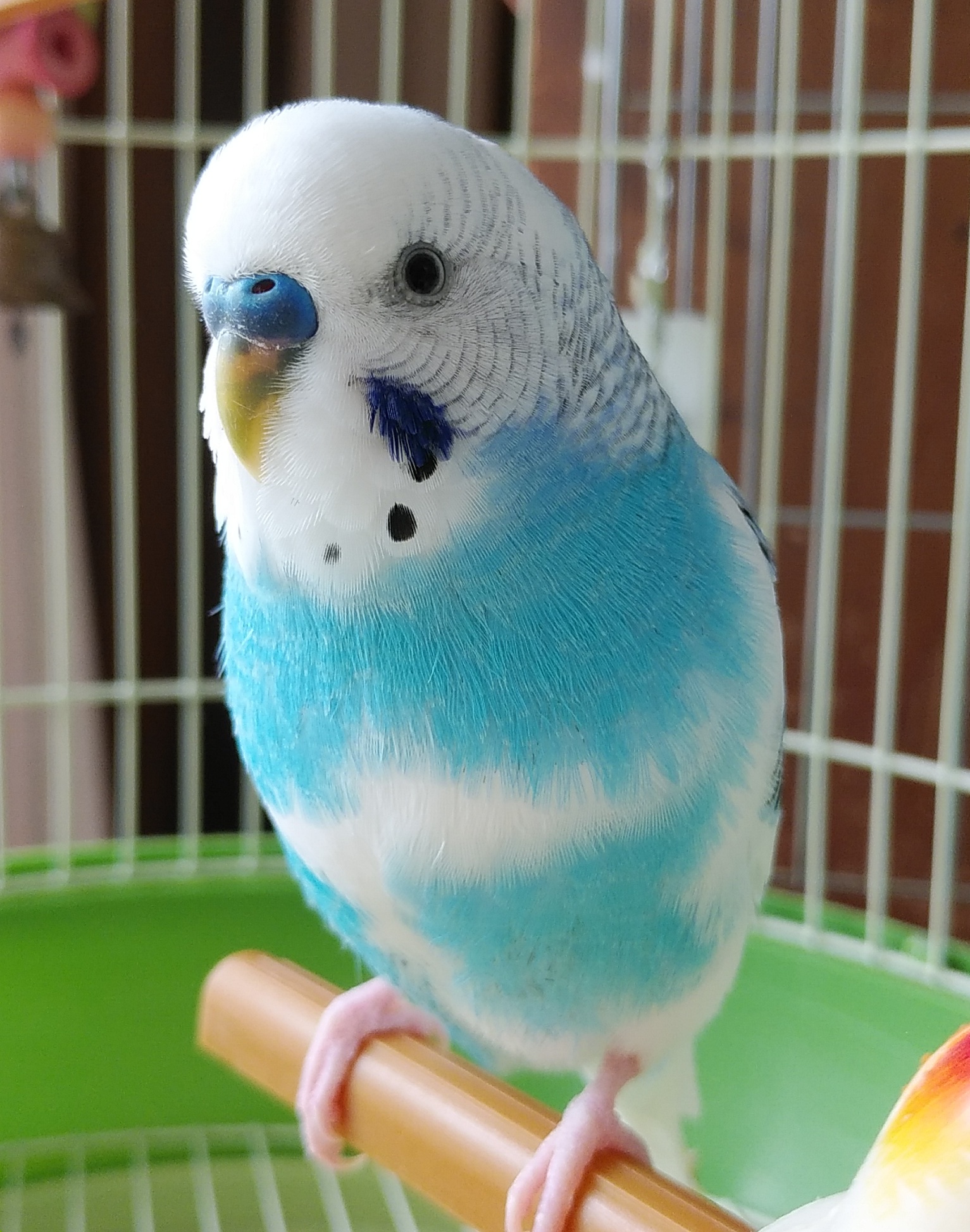 ユーザーの写真
