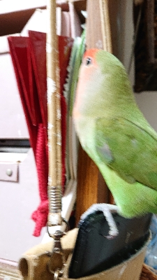 ユーザーの写真