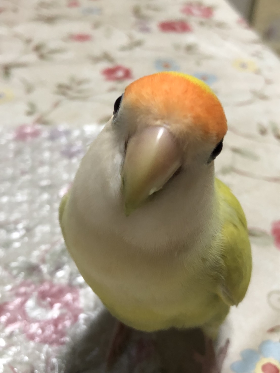 ユーザーの写真