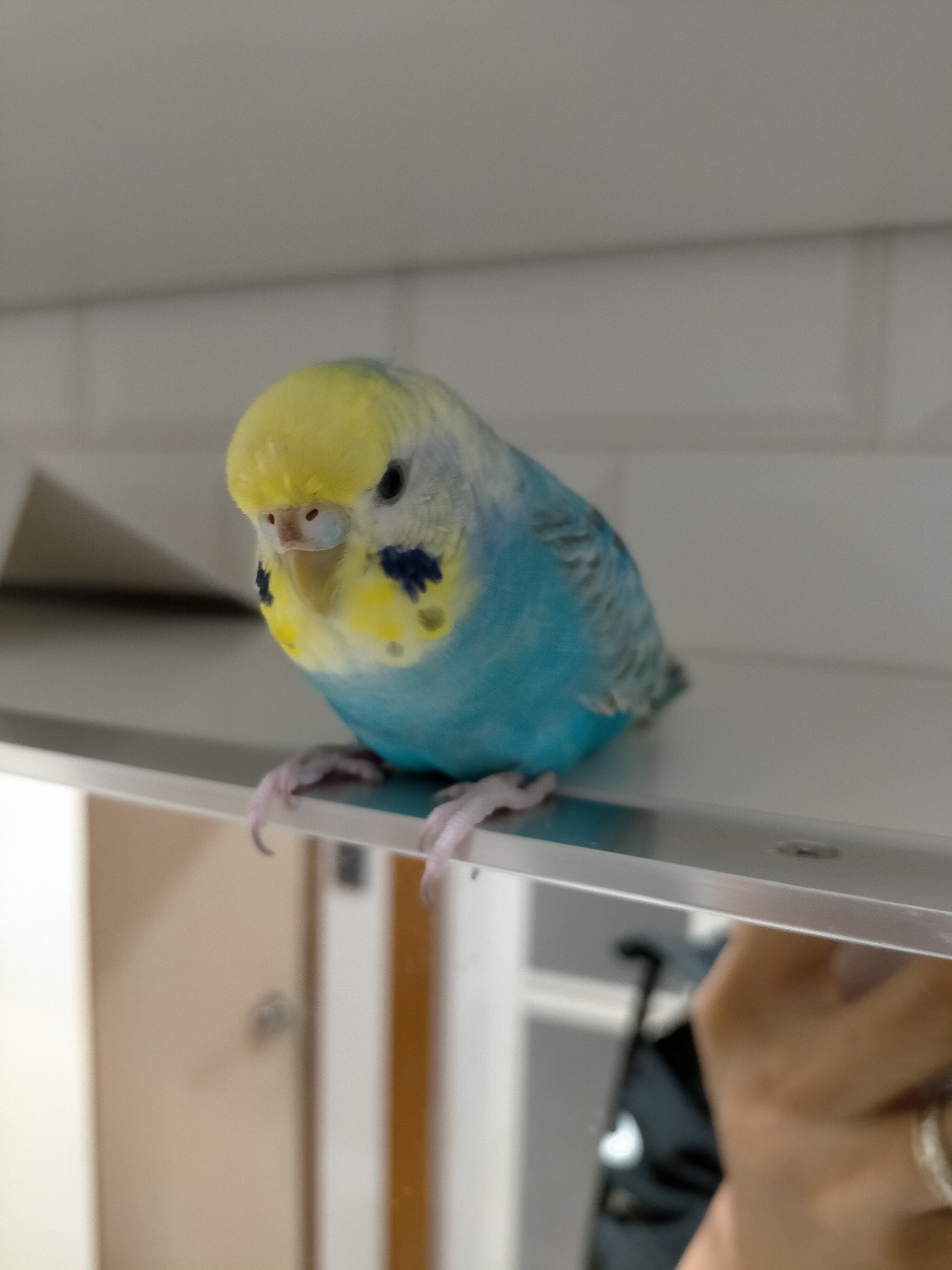 ユーザーの写真