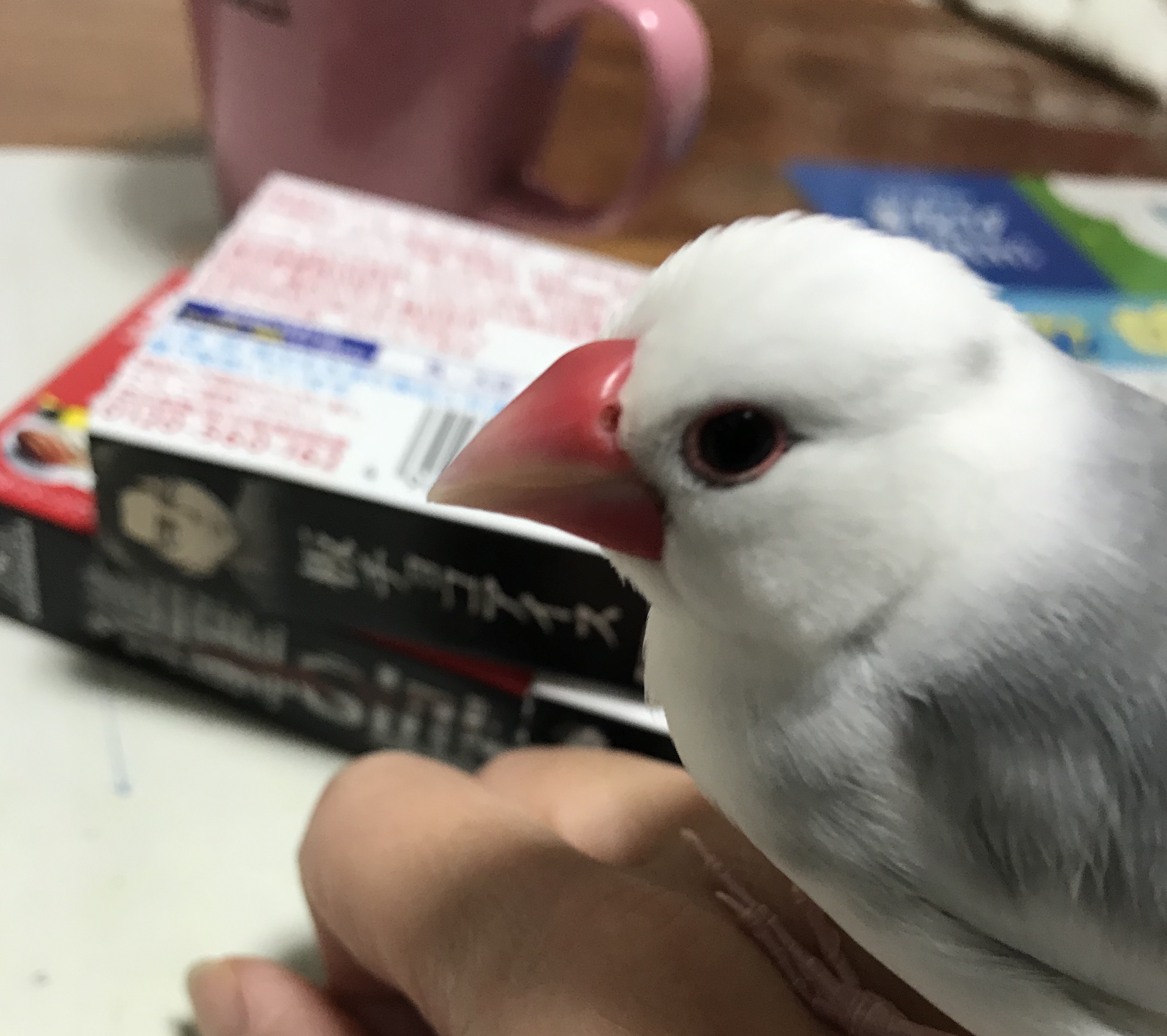 ユーザーの写真