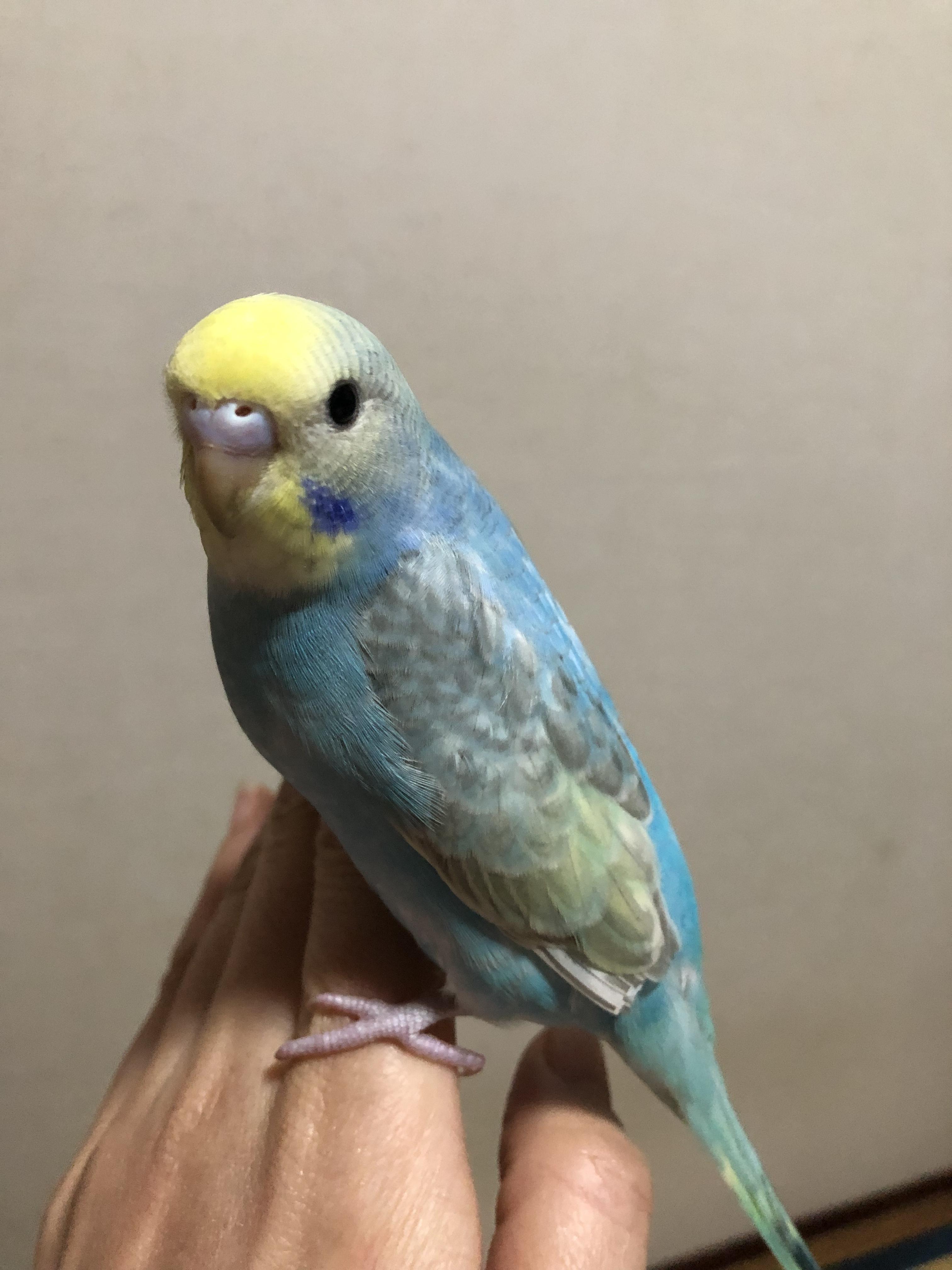 ユーザーの写真