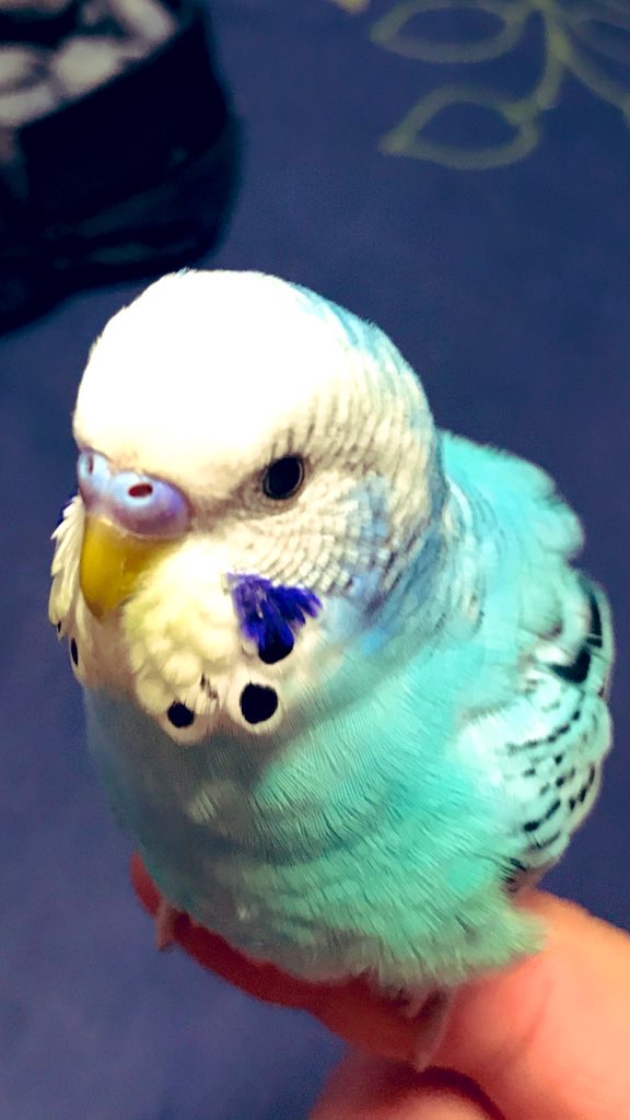 ユーザーの写真