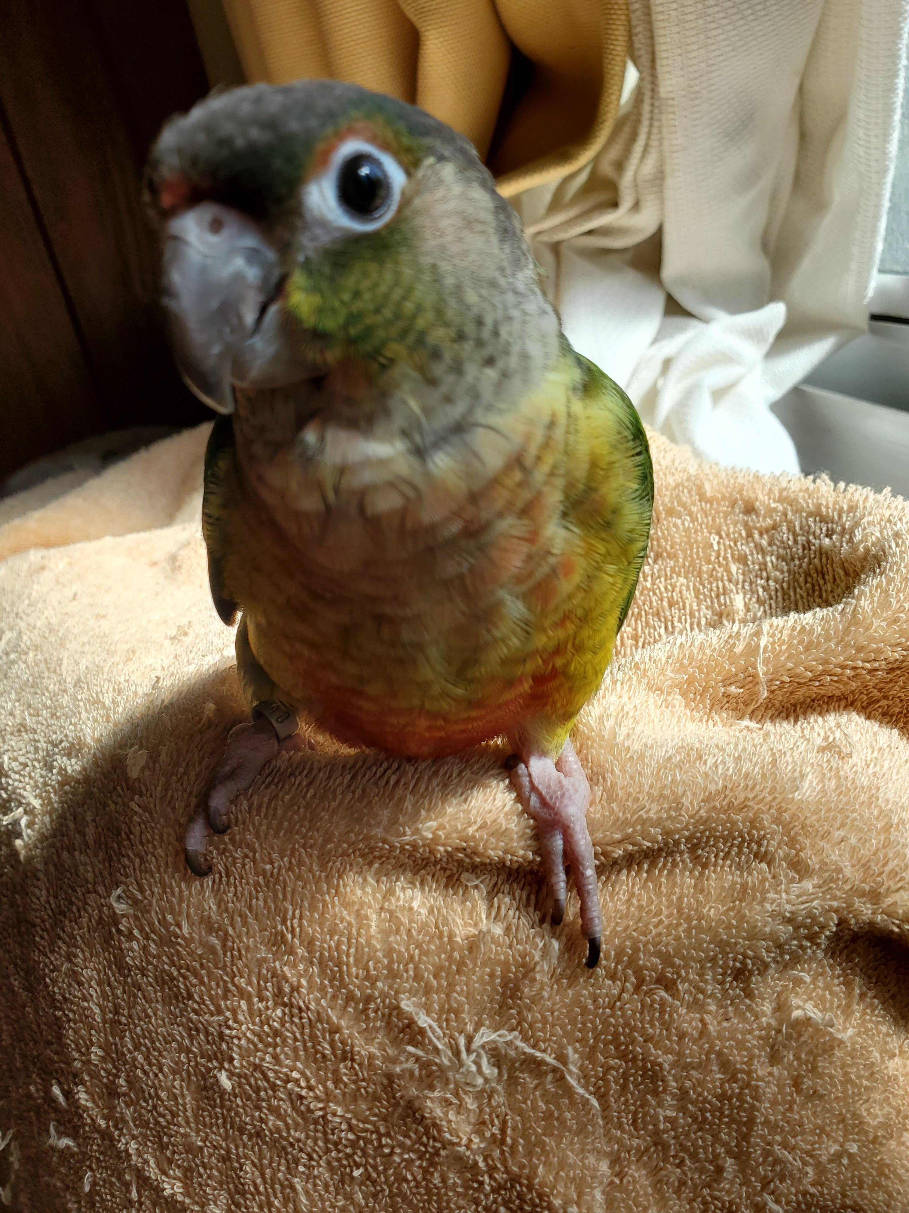 ユーザーの写真