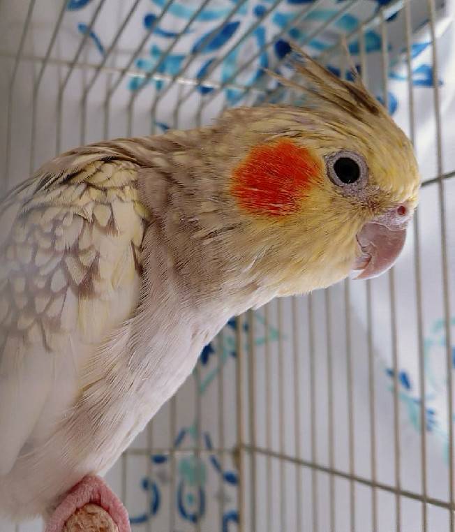 ユーザーの写真