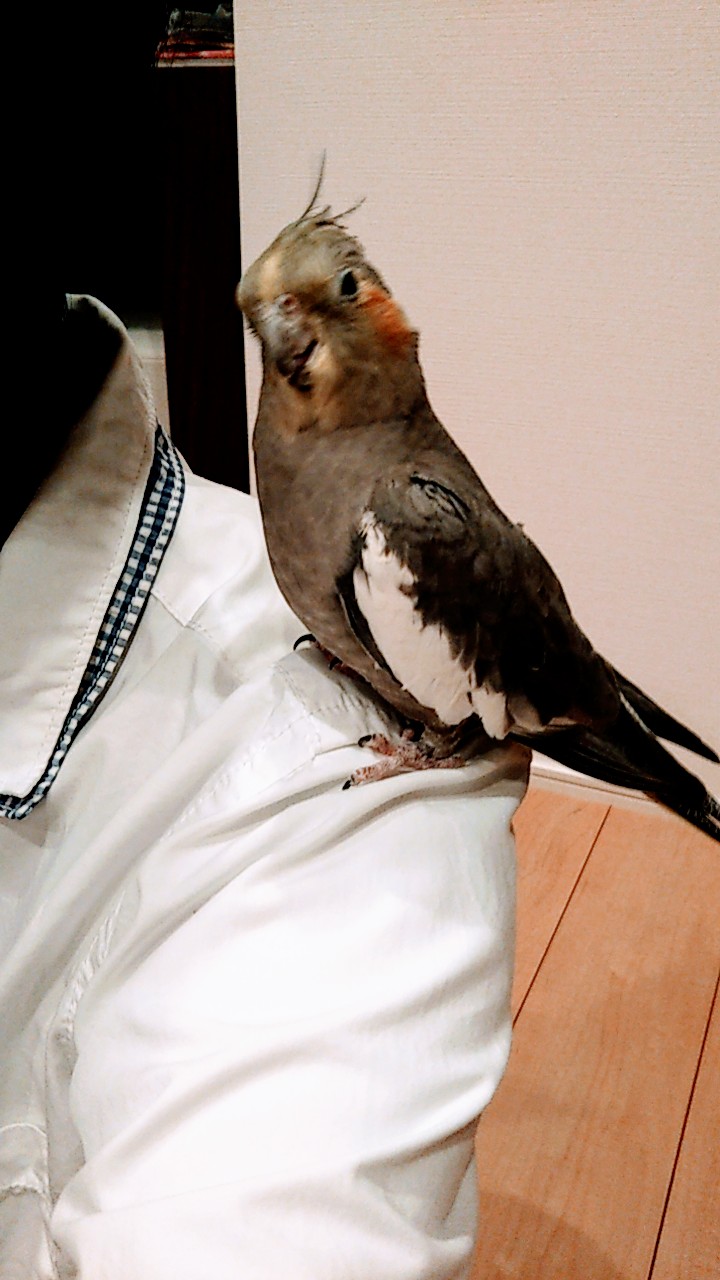 ユーザーの写真
