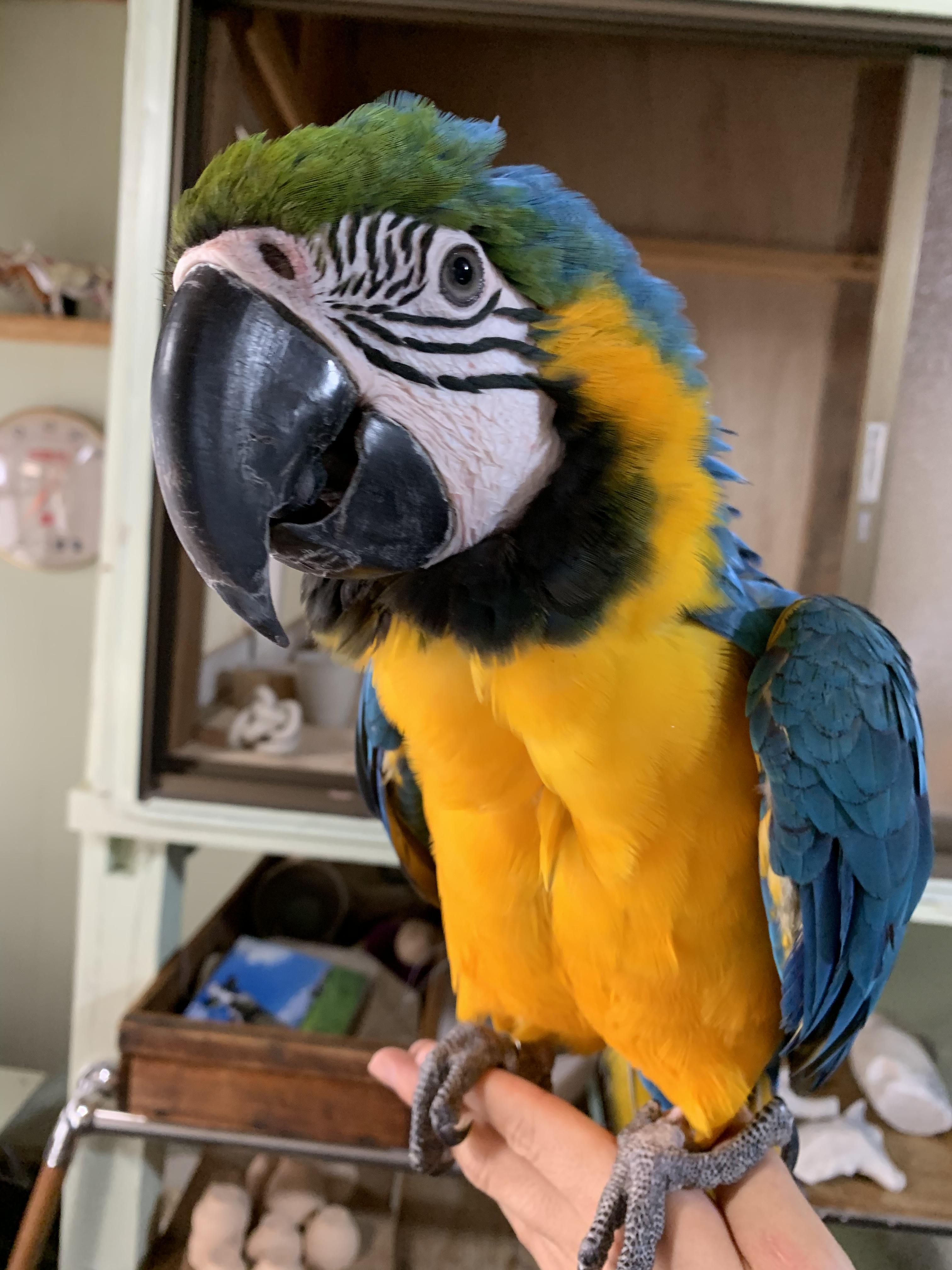ユーザーの写真
