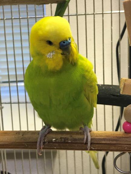 ユーザーの写真
