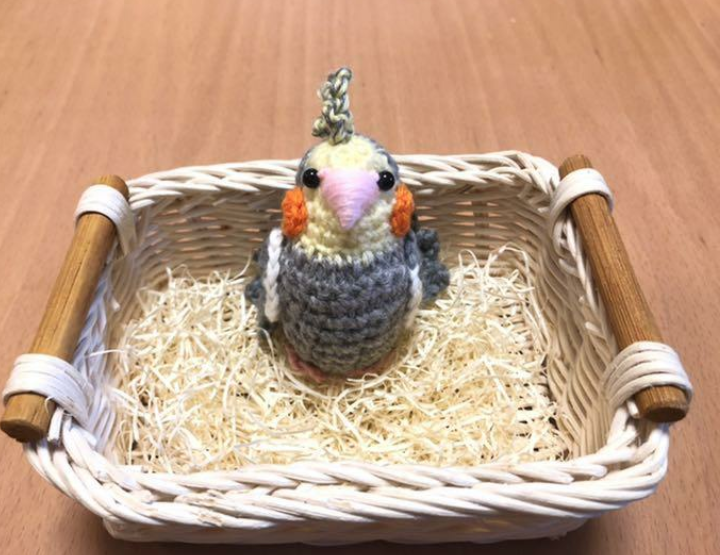 ユーザーの写真