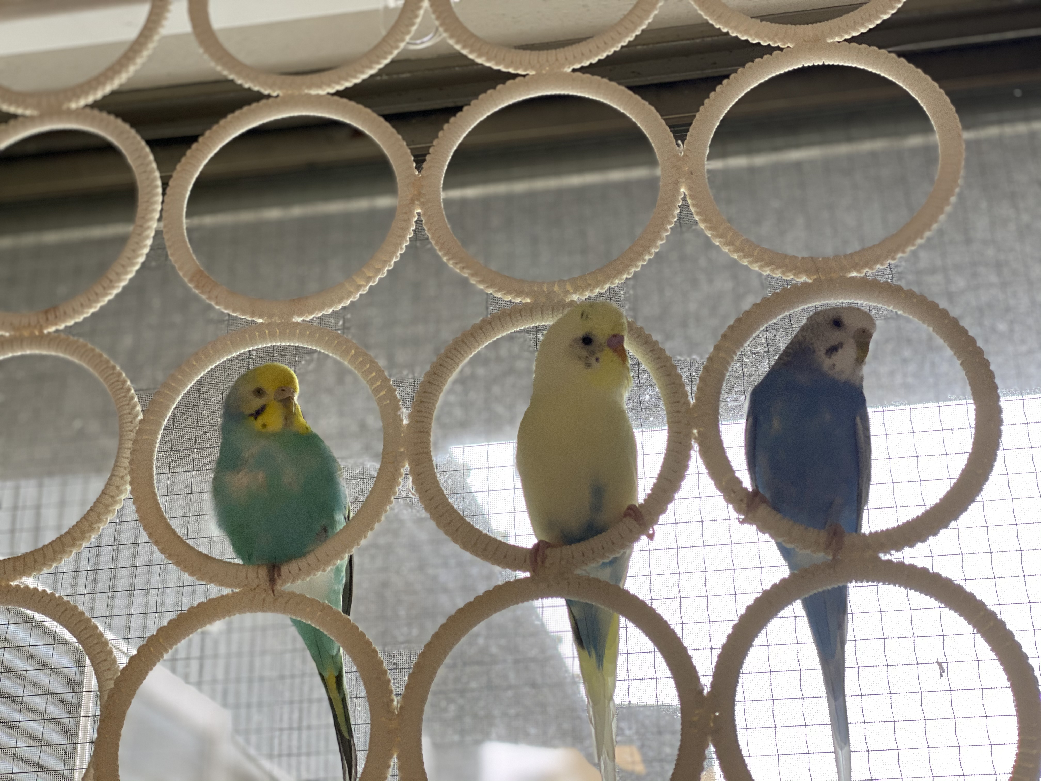 ユーザーの写真