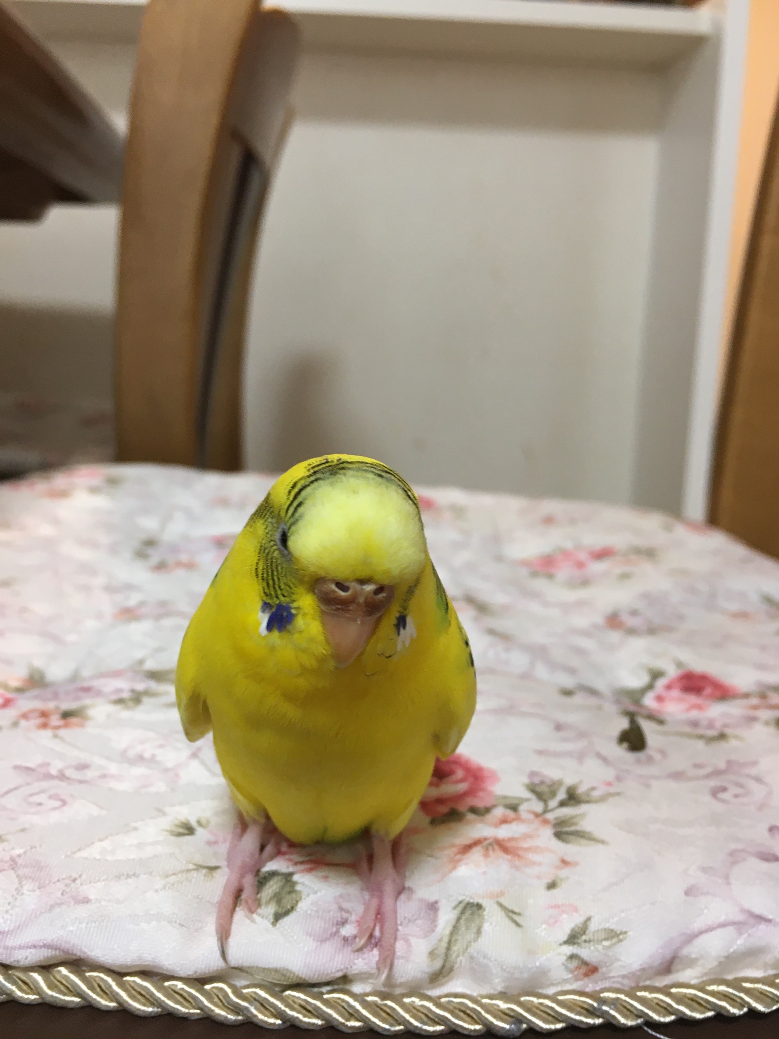 ユーザーの写真