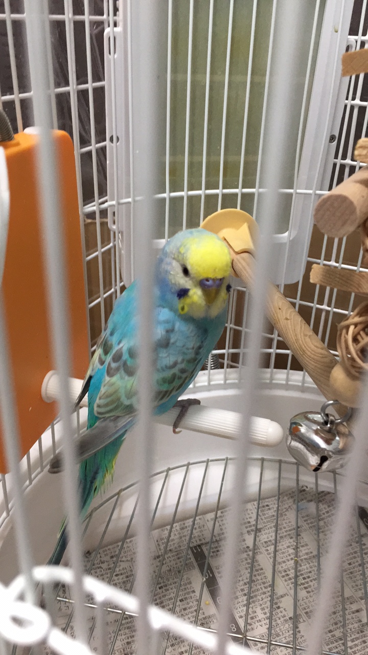 ユーザーの写真