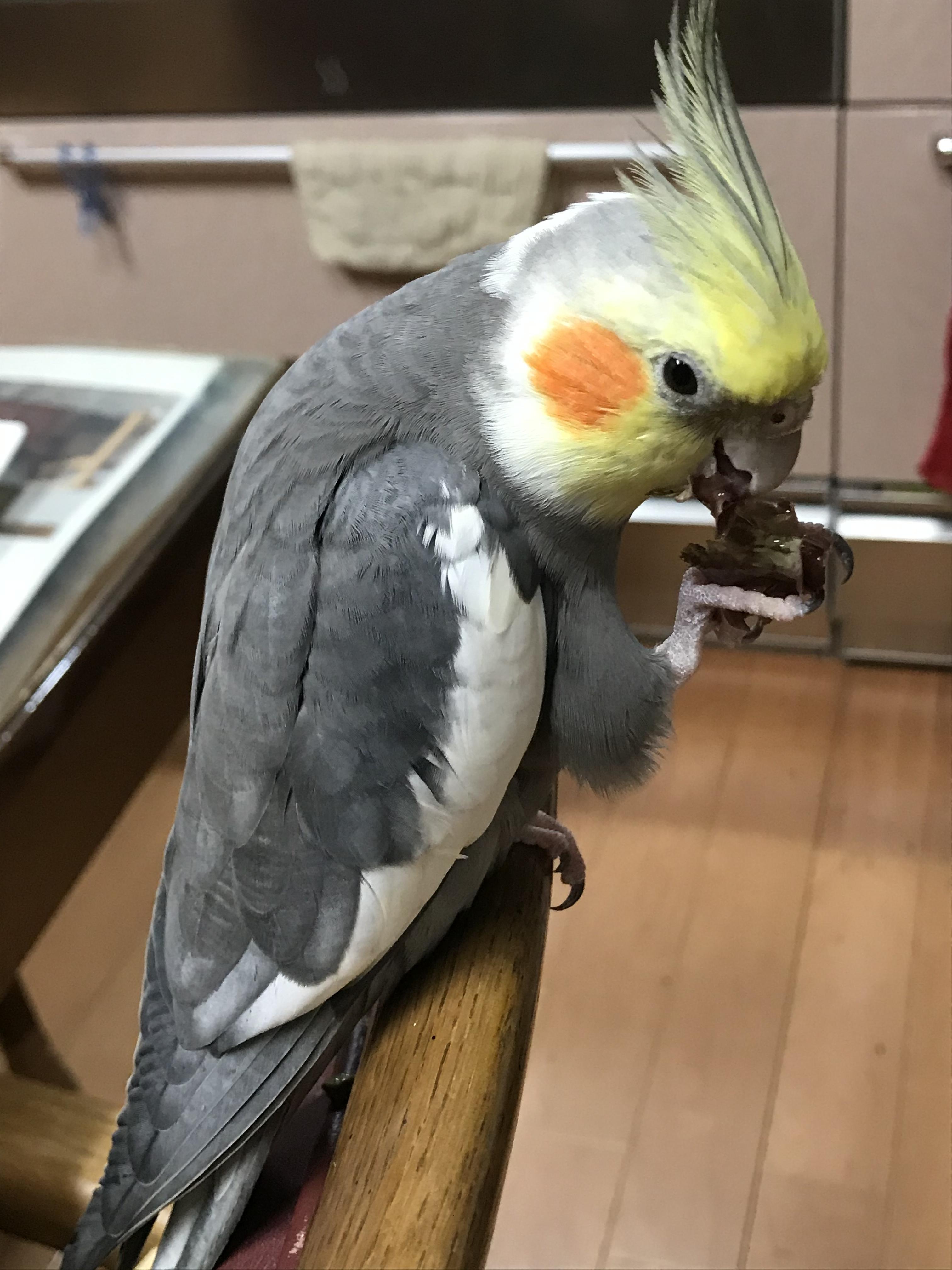 ユーザーの写真