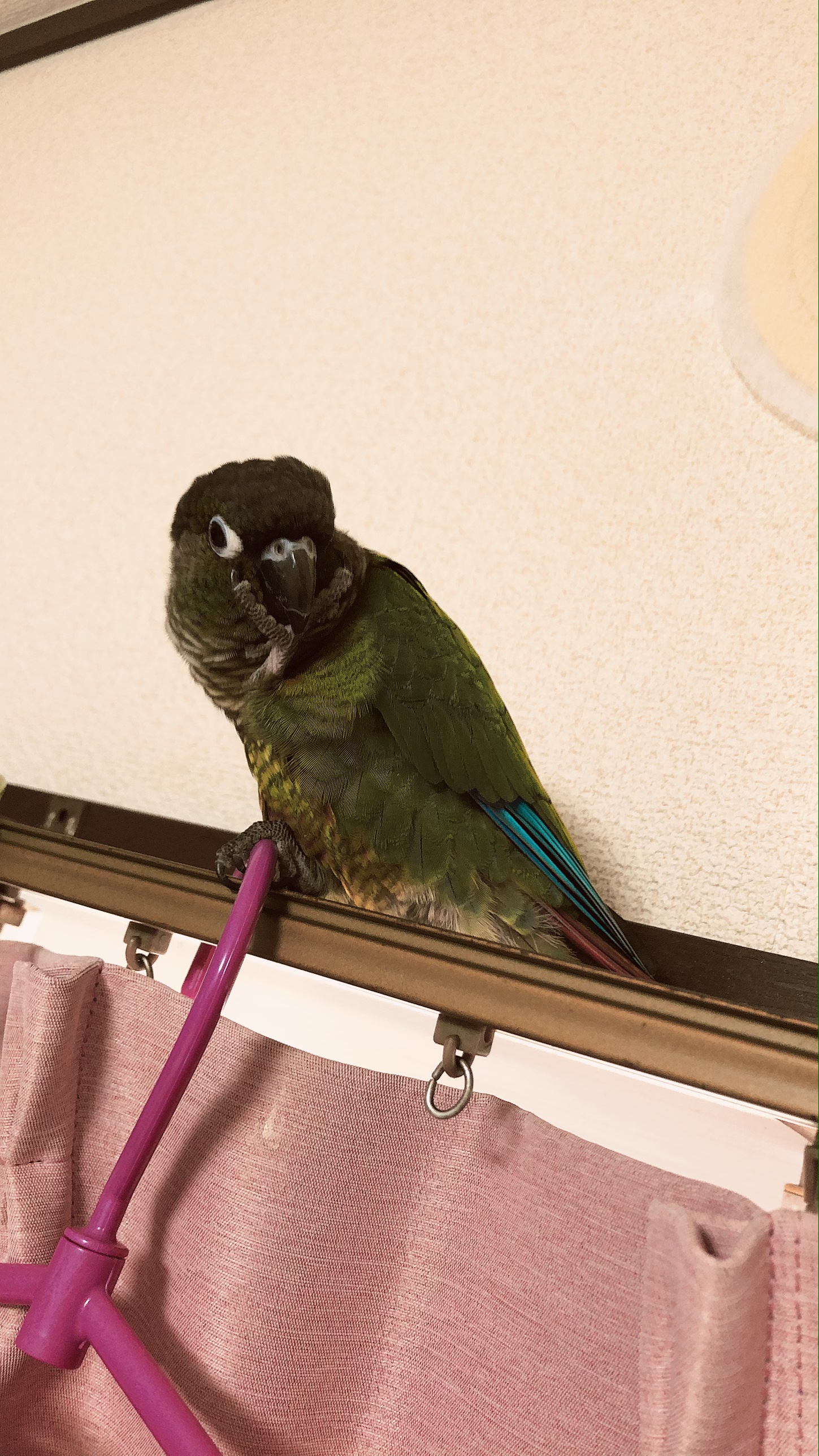 ユーザーの写真