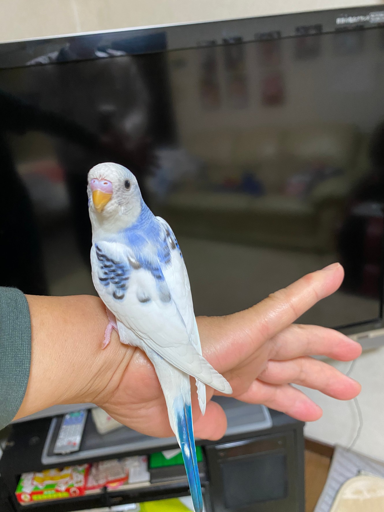 ユーザーの写真