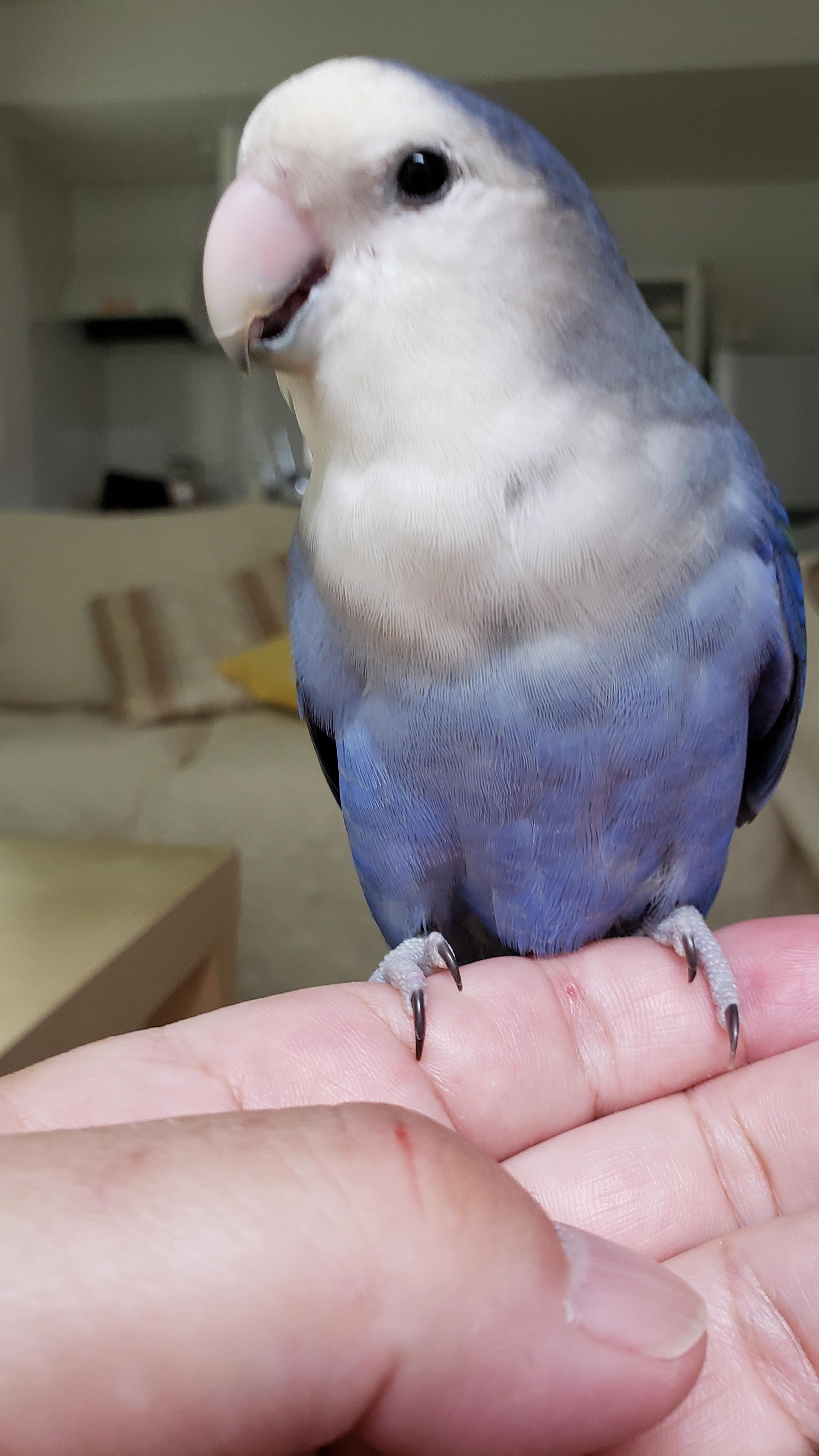 ユーザーの写真