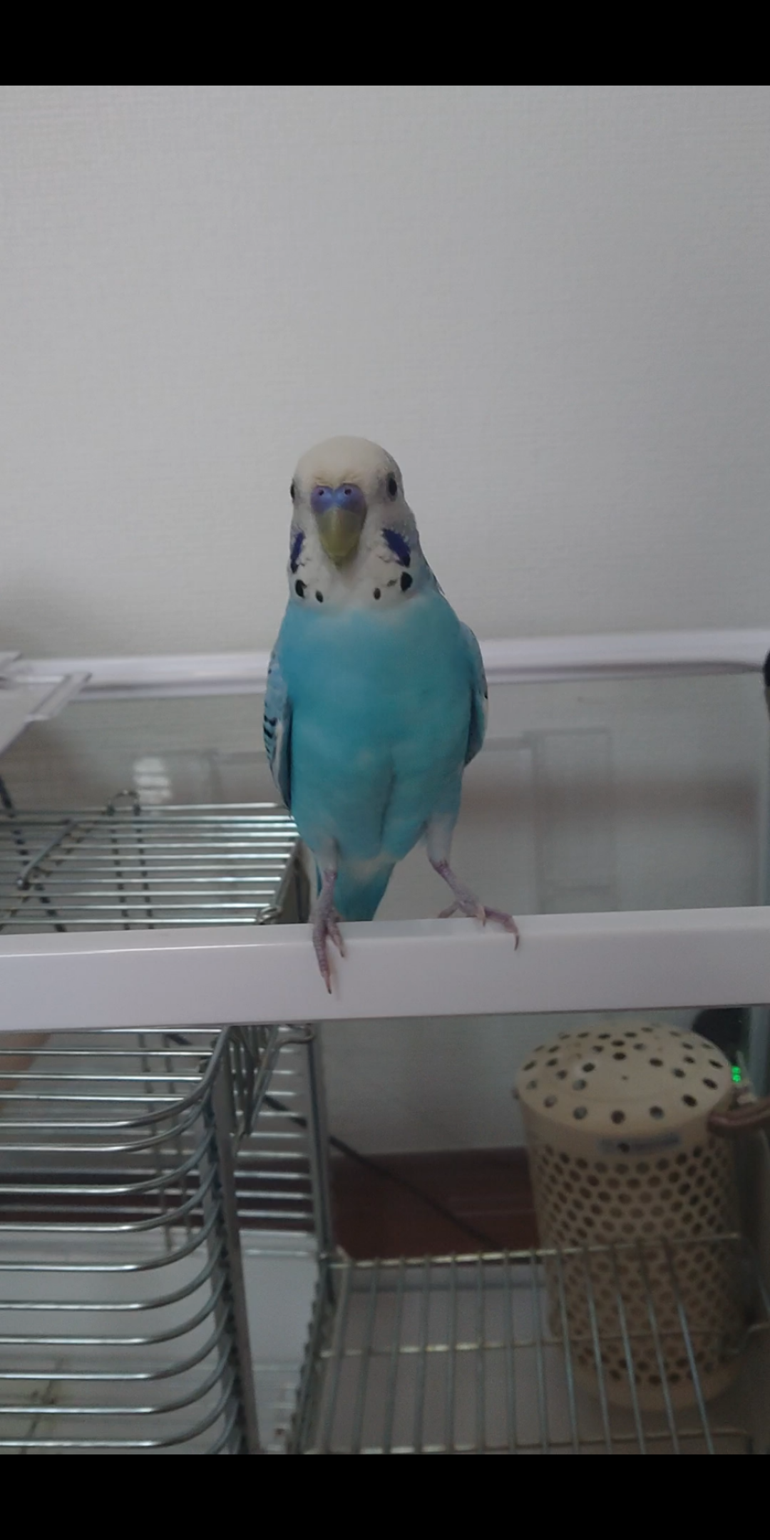 ユーザーの写真