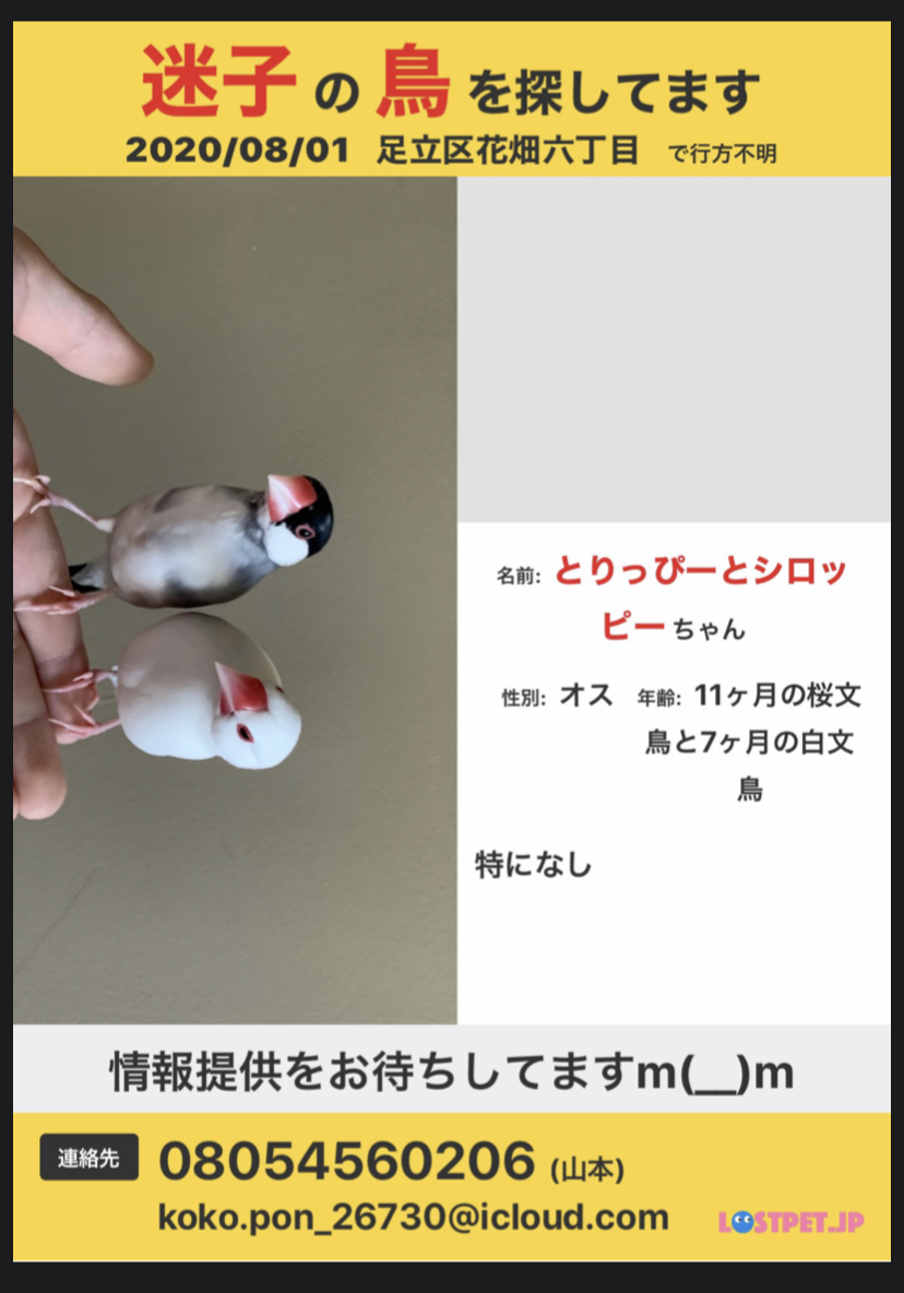 ユーザーの写真