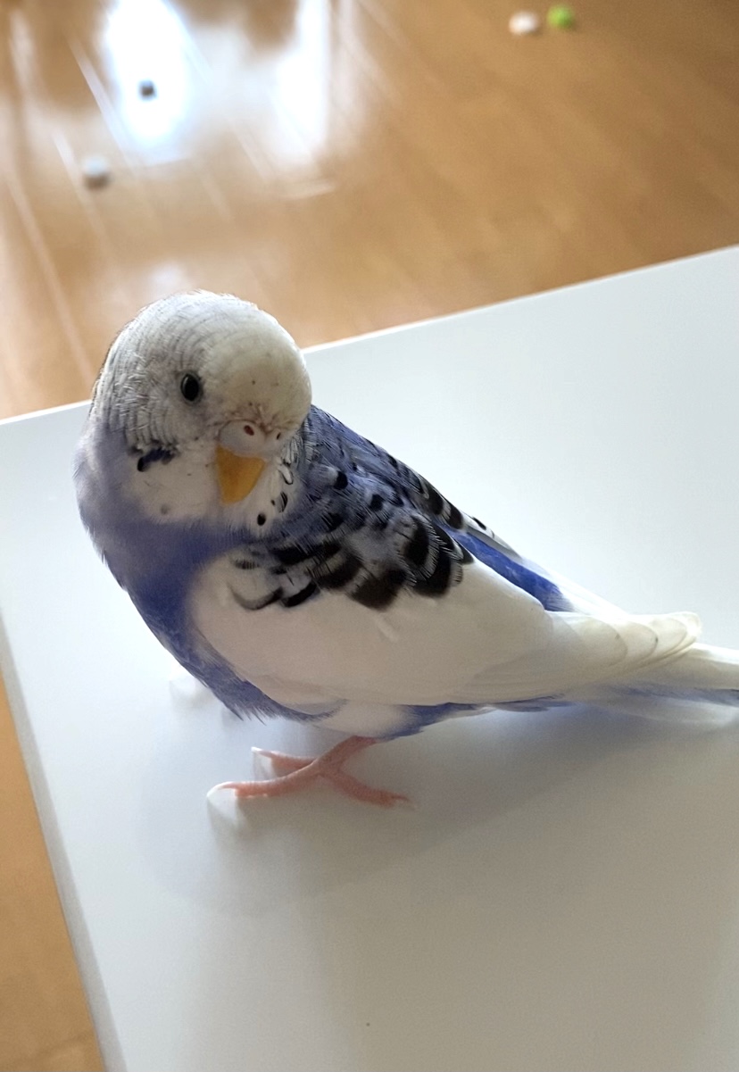 ユーザーの写真
