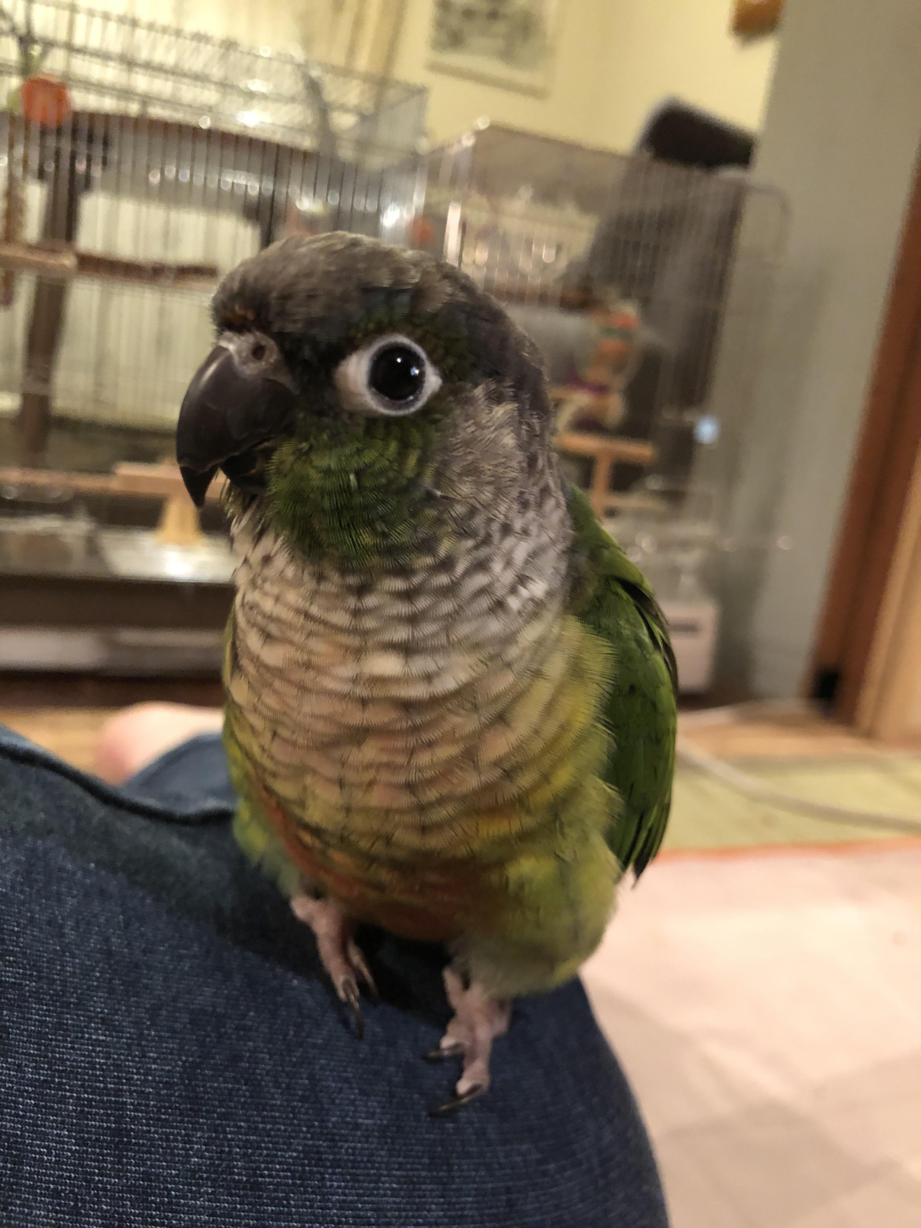 ユーザーの写真