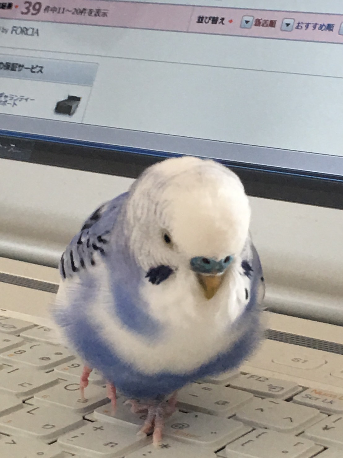 ユーザーの写真
