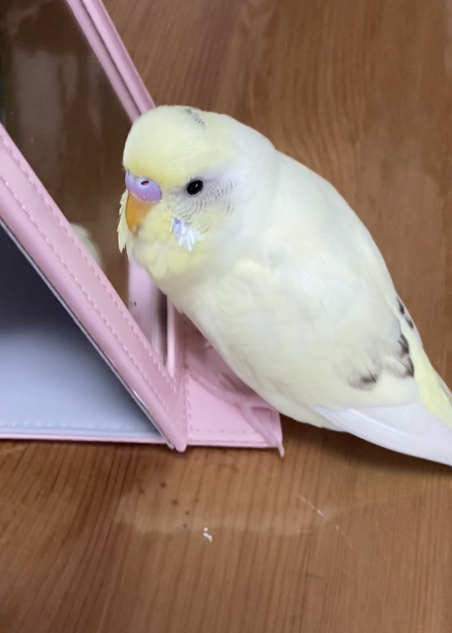 ユーザーの写真