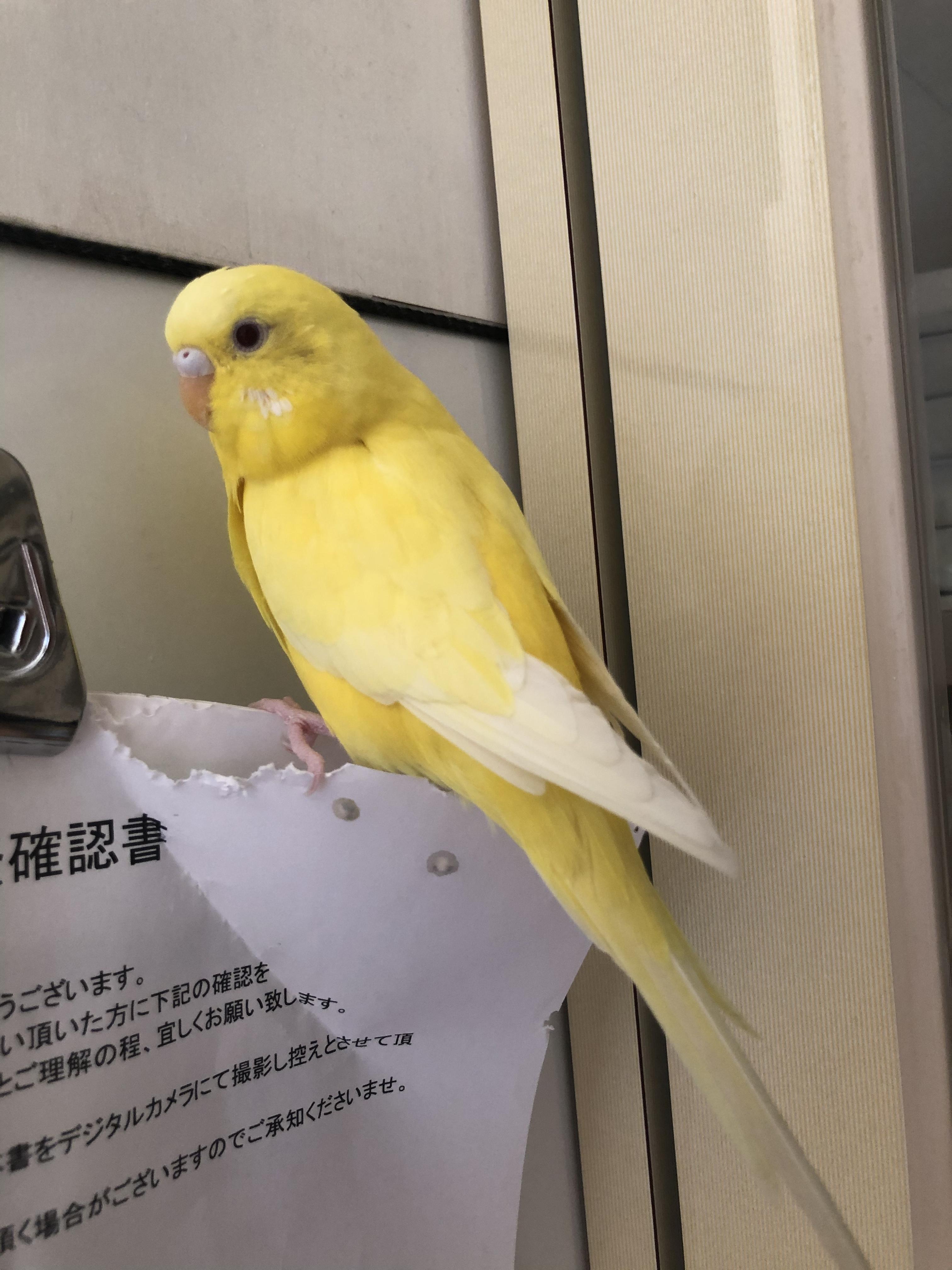ユーザーの写真
