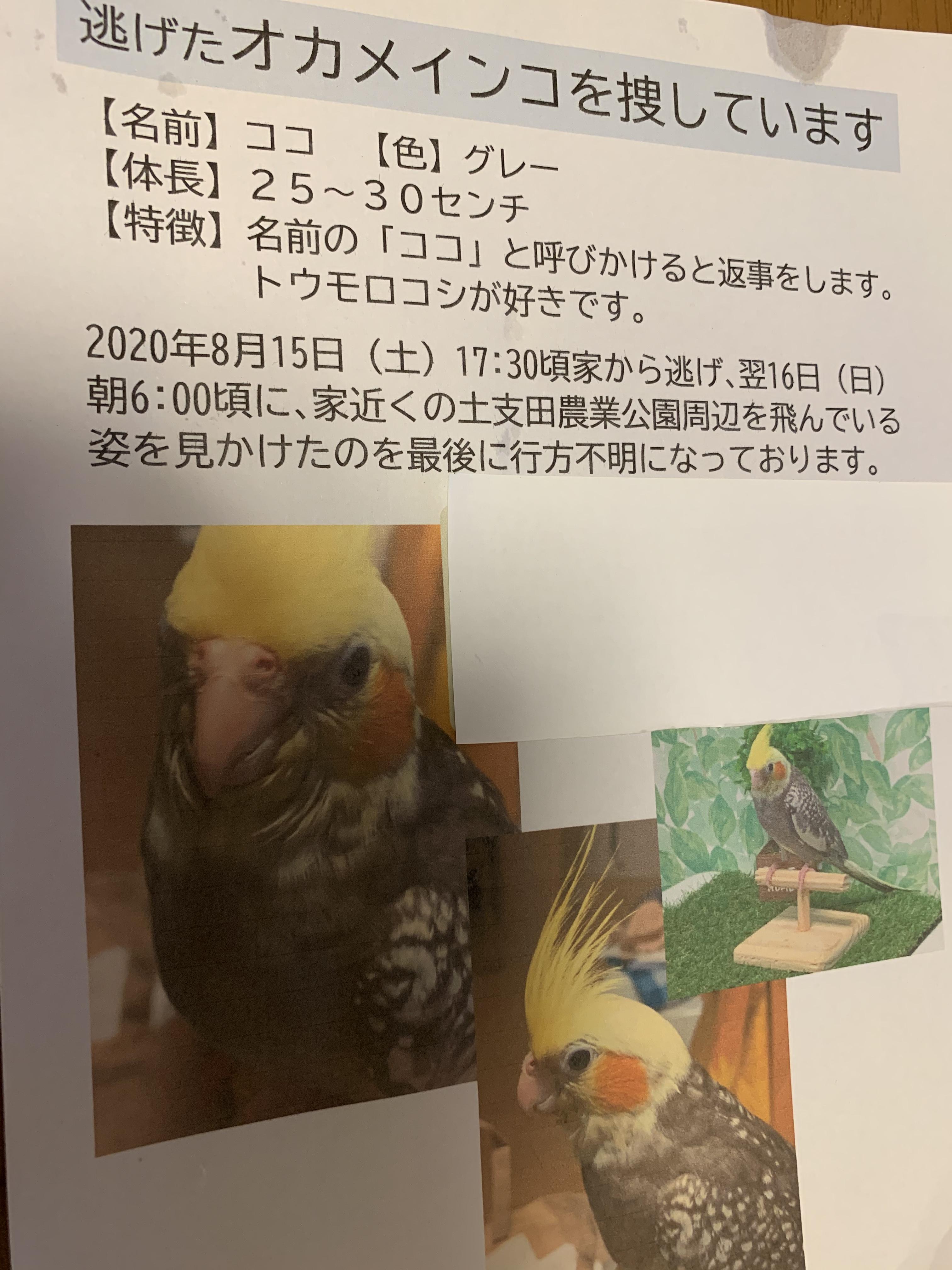 ユーザーの写真