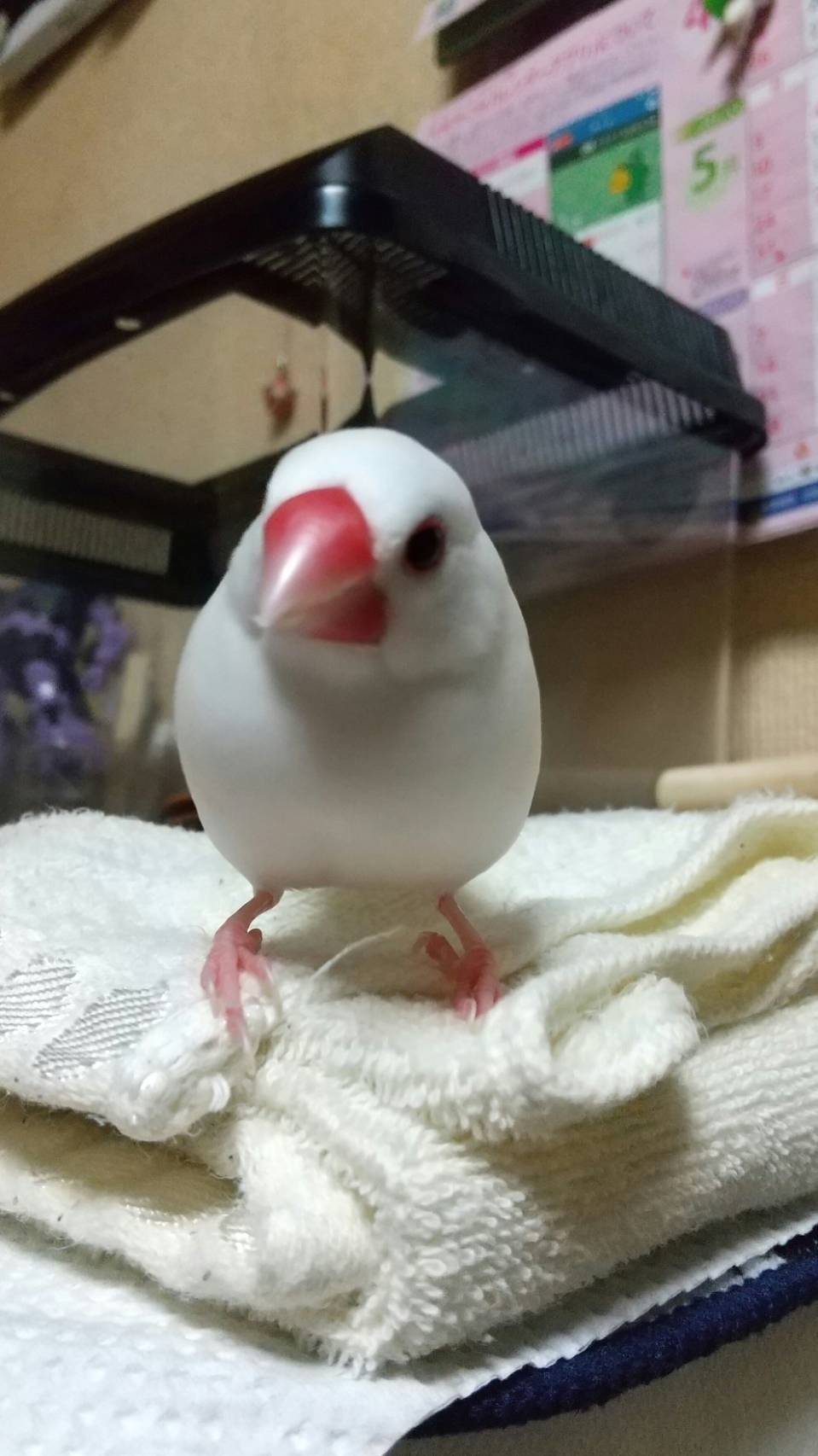 ユーザーの写真