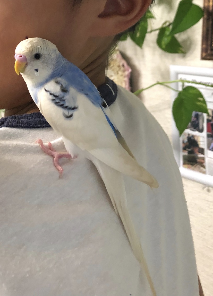 ユーザーの写真