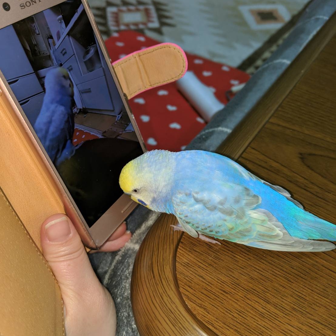 ユーザーの写真