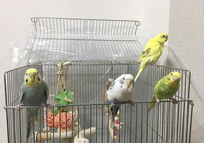ユーザーの写真