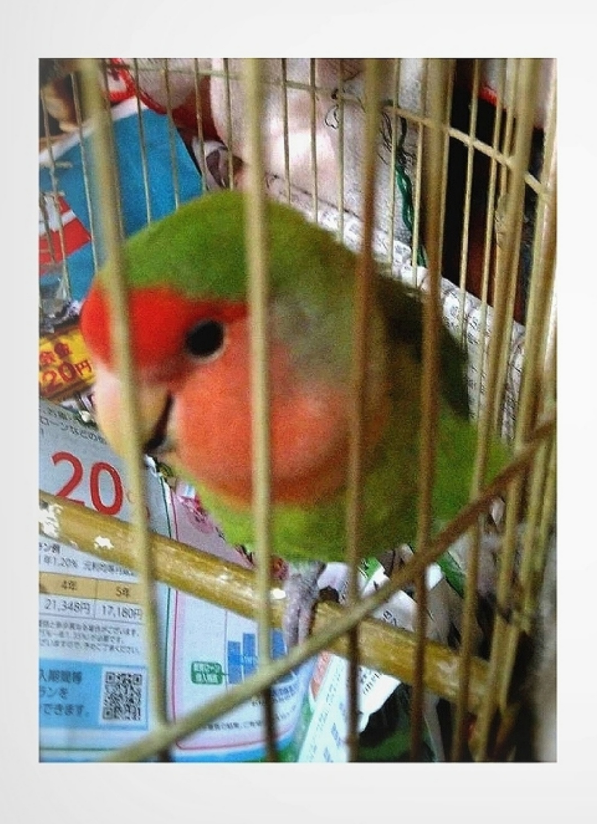 ユーザーの写真