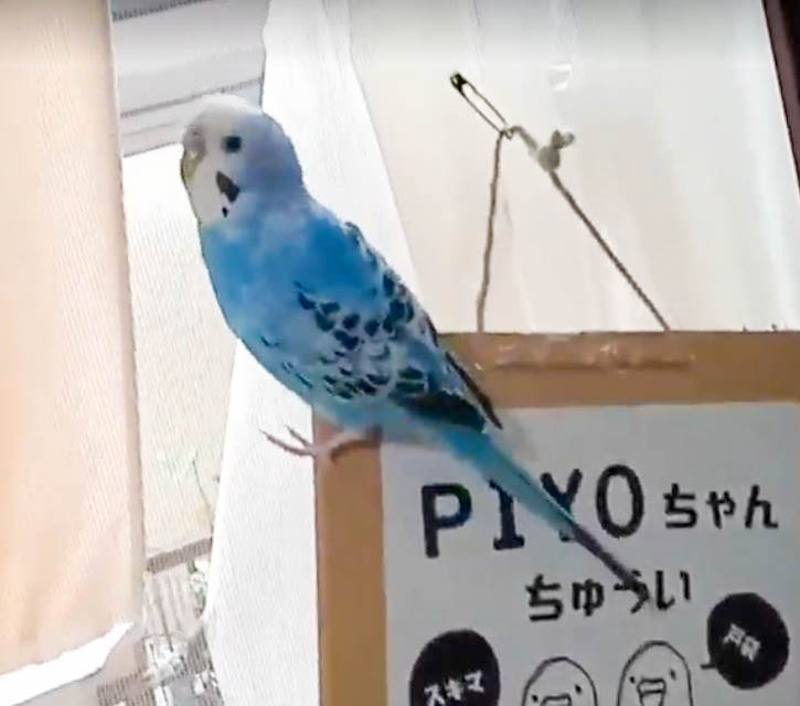 ユーザーの写真
