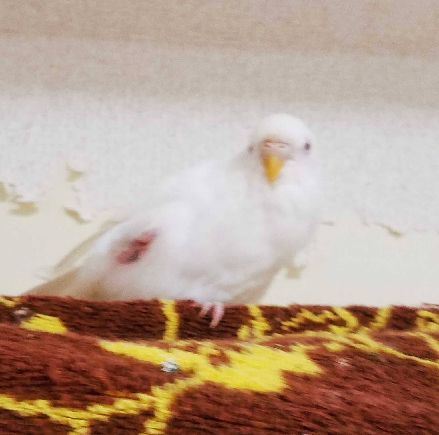 ユーザーの写真