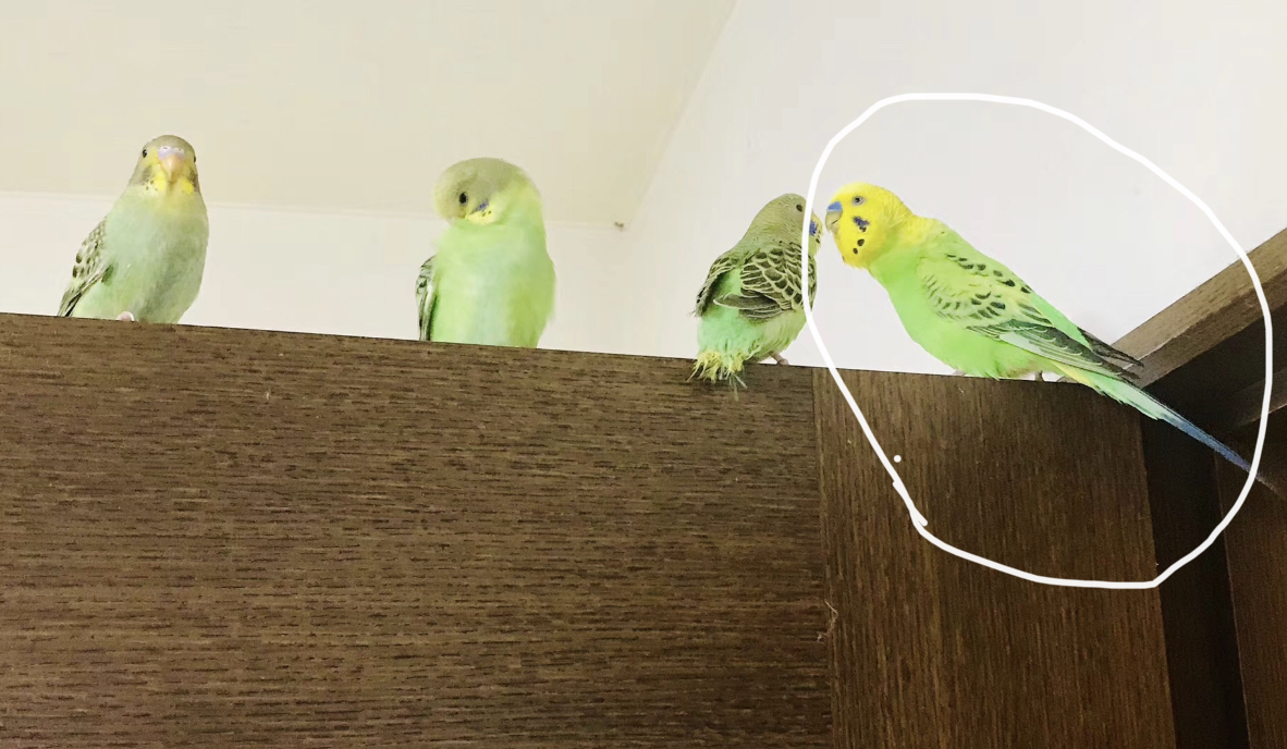 ユーザーの写真