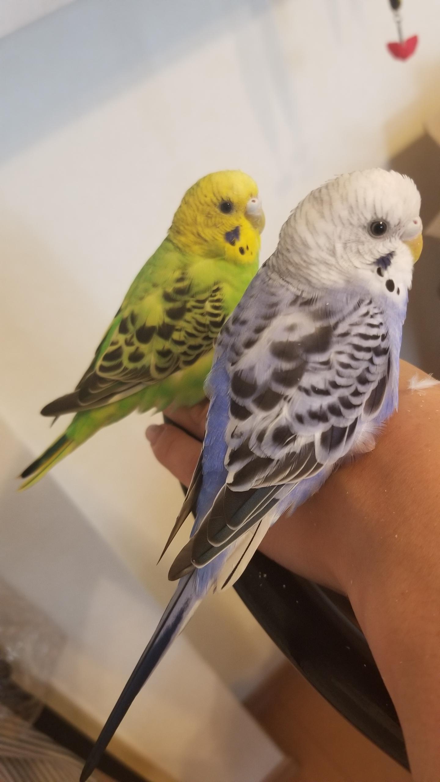 ユーザーの写真