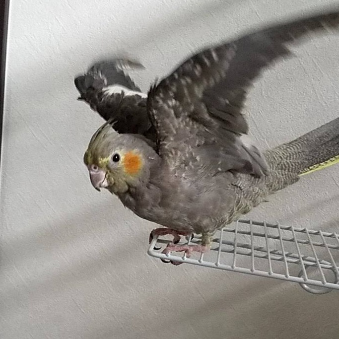 ユーザーの写真