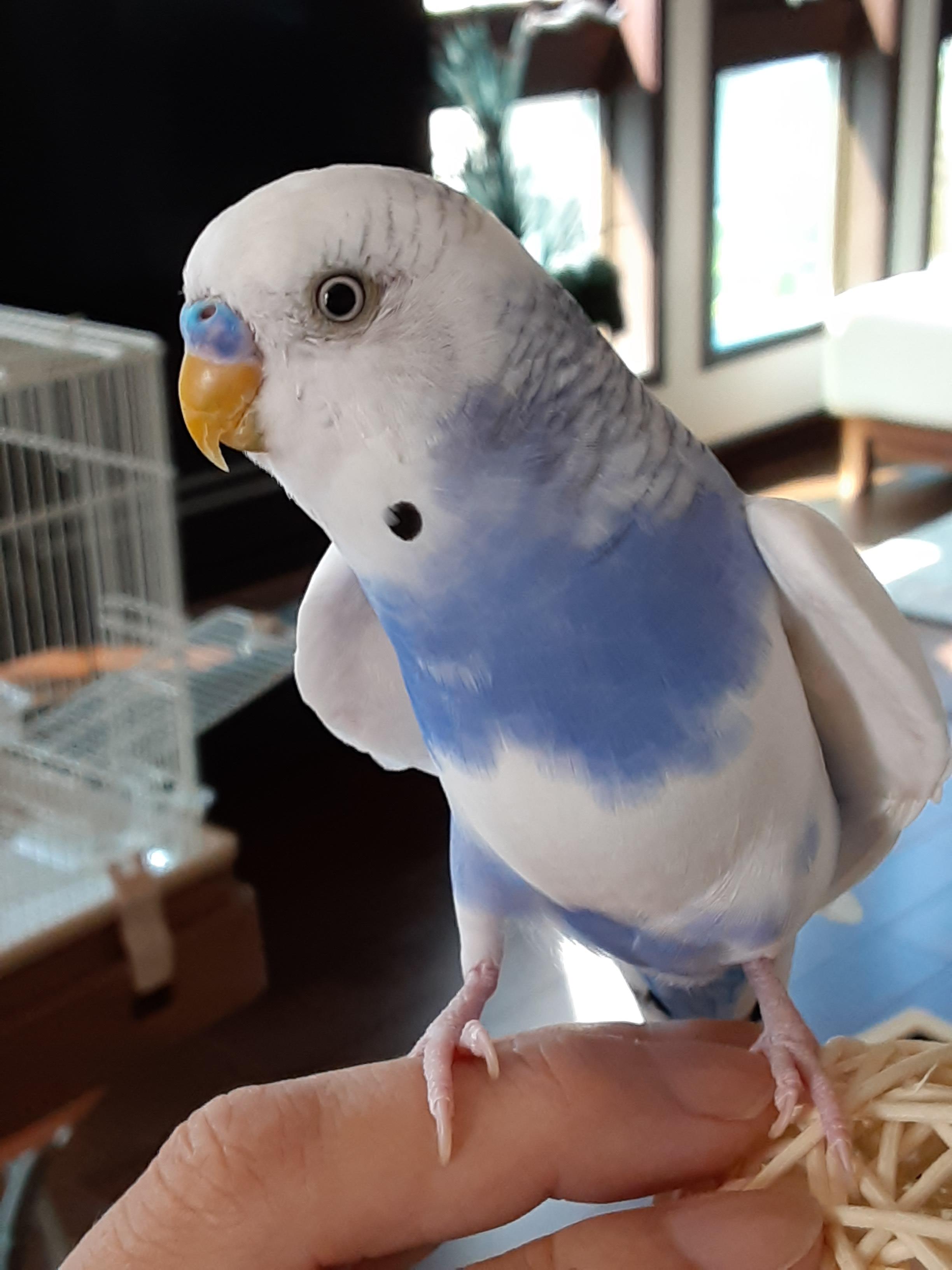 ユーザーの写真
