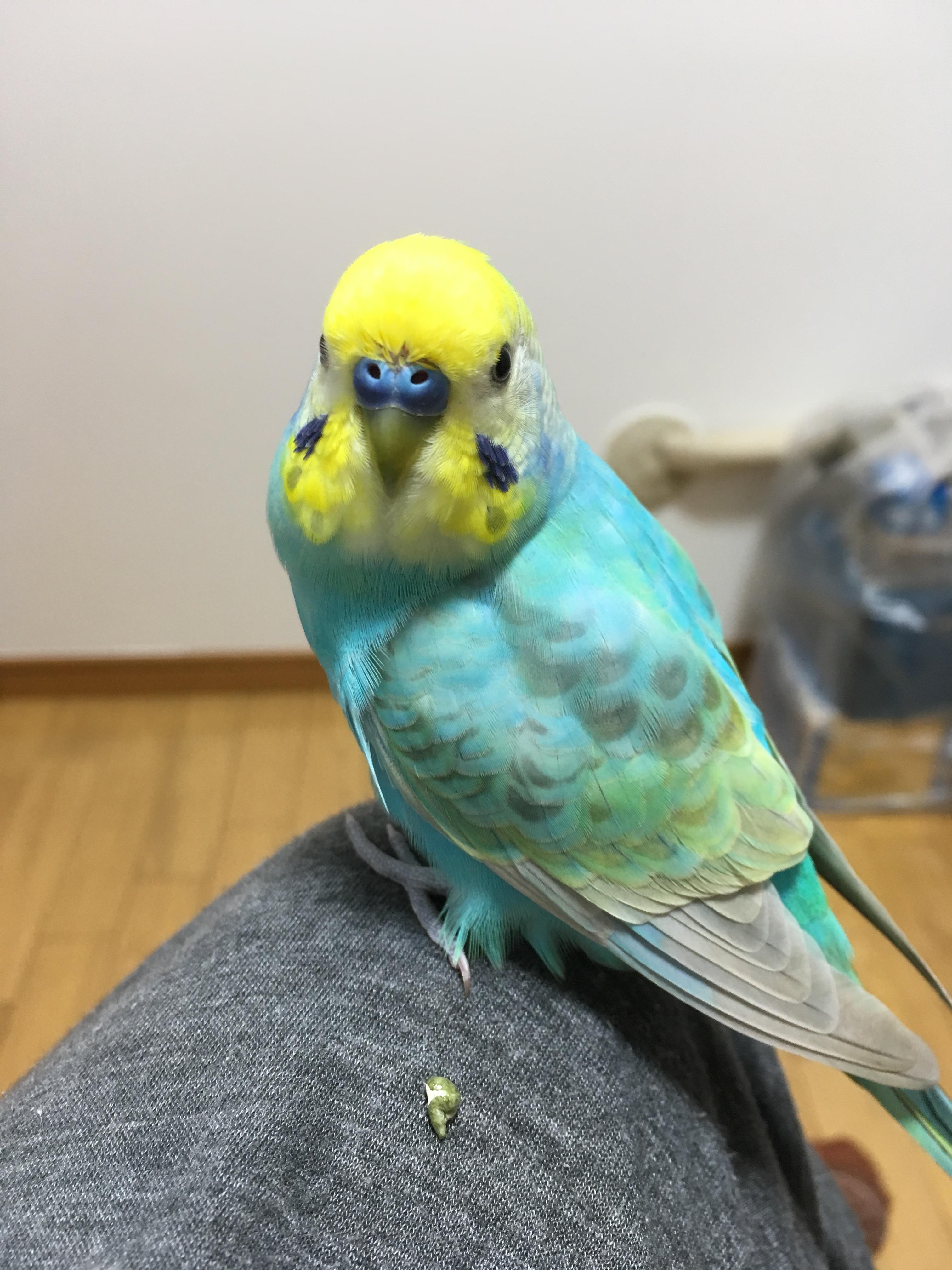 ユーザーの写真