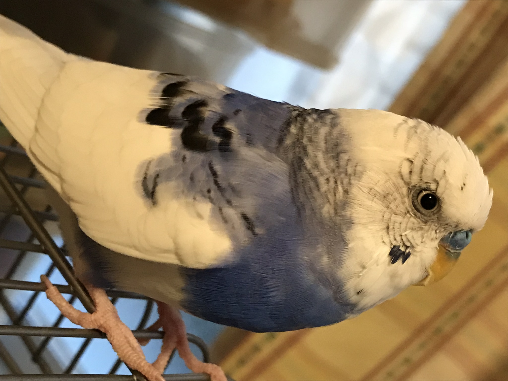 ユーザーの写真