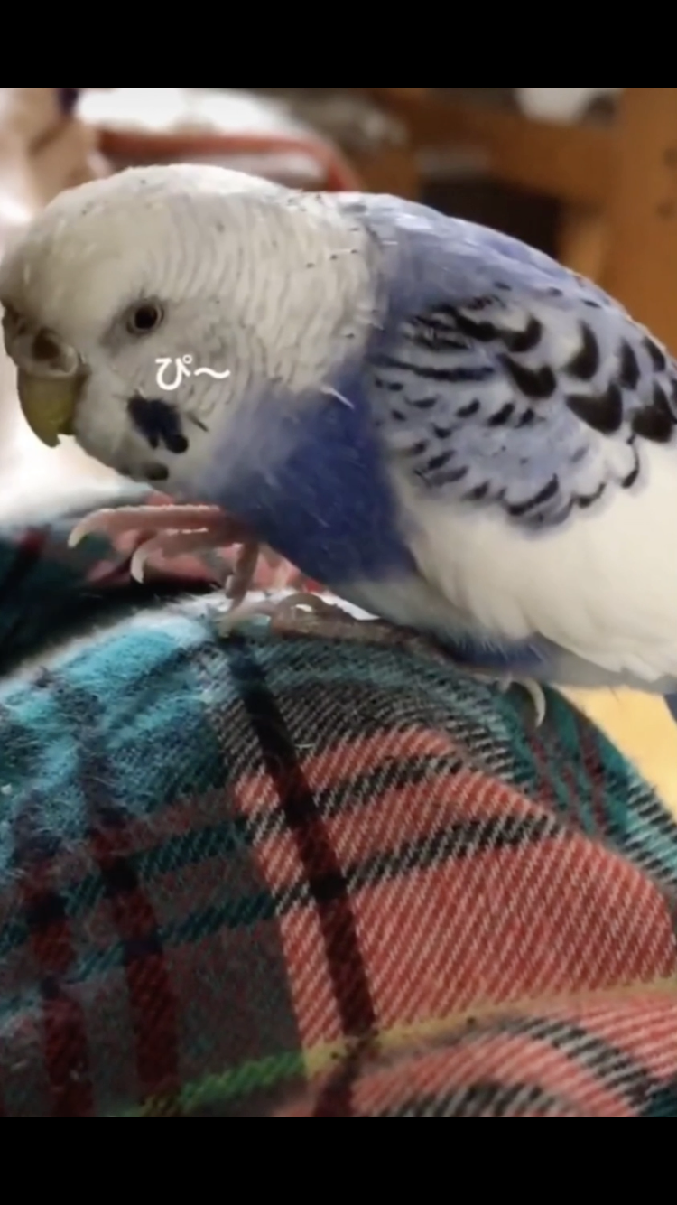 ユーザーの写真
