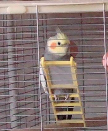 ユーザーの写真