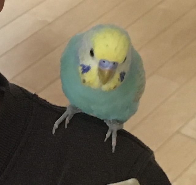 ユーザーの写真
