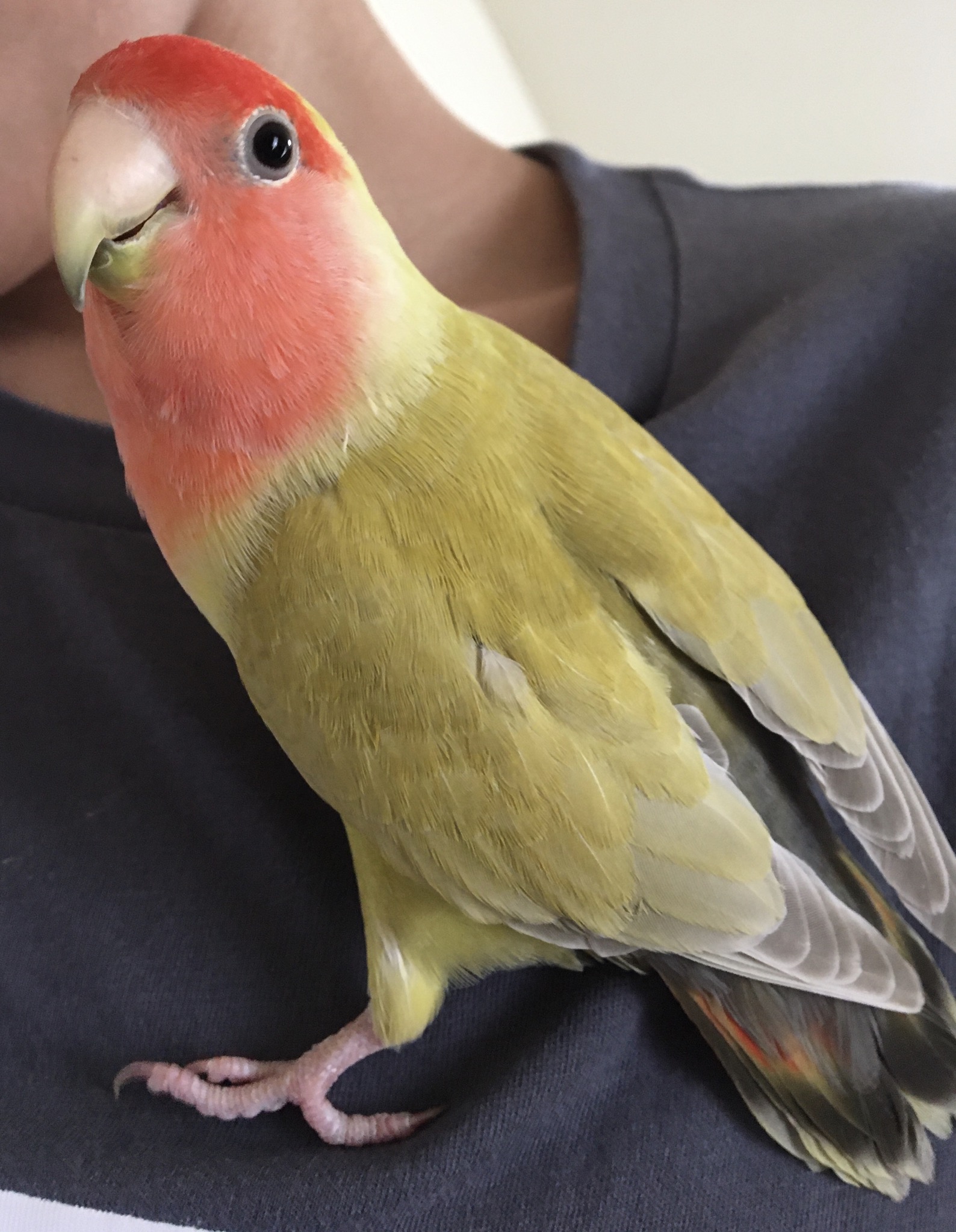 ユーザーの写真